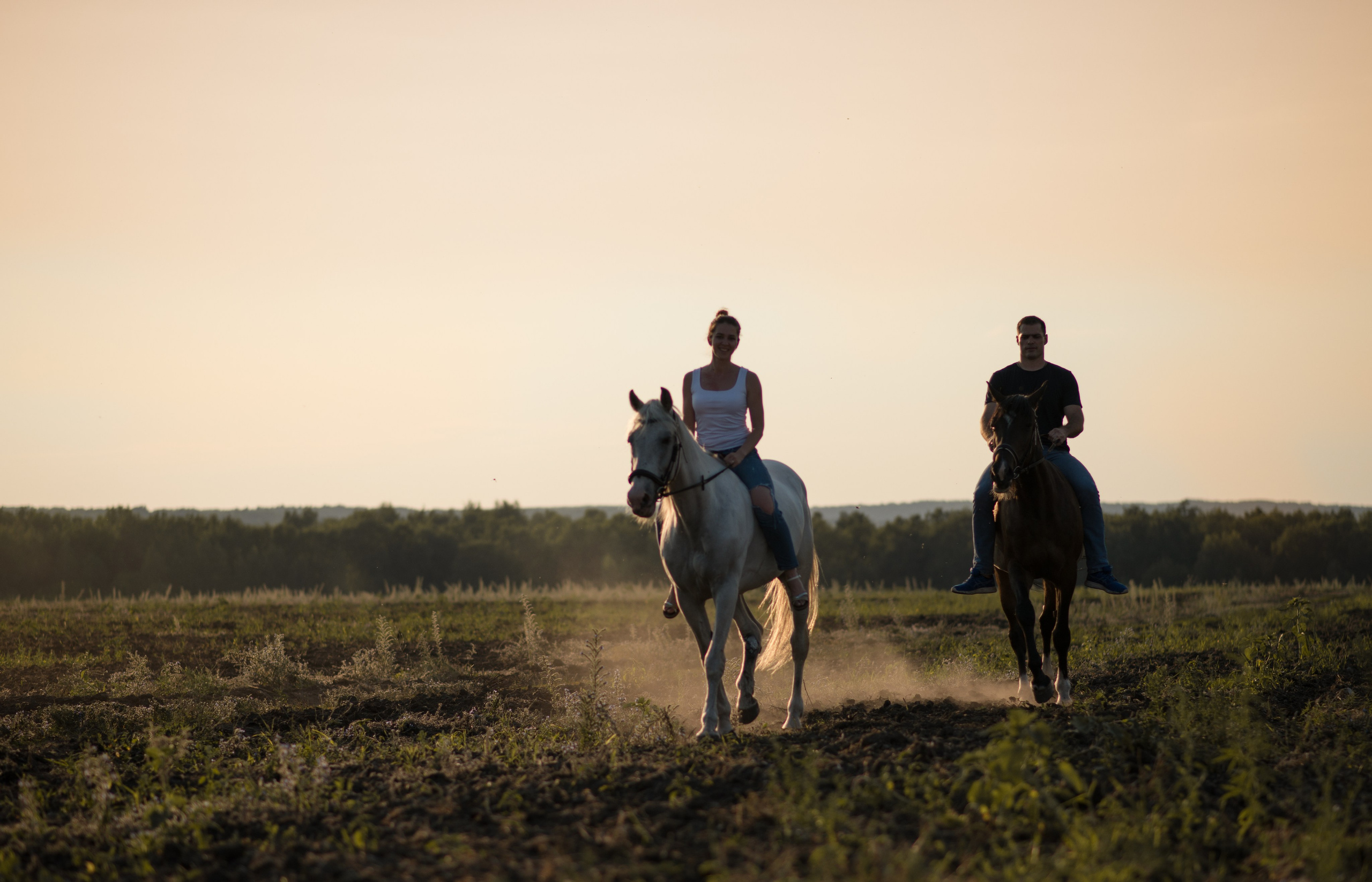Кристина и Илья, Каспиец и Багрец. Конный фотограф в Саратове Юлия Иванова