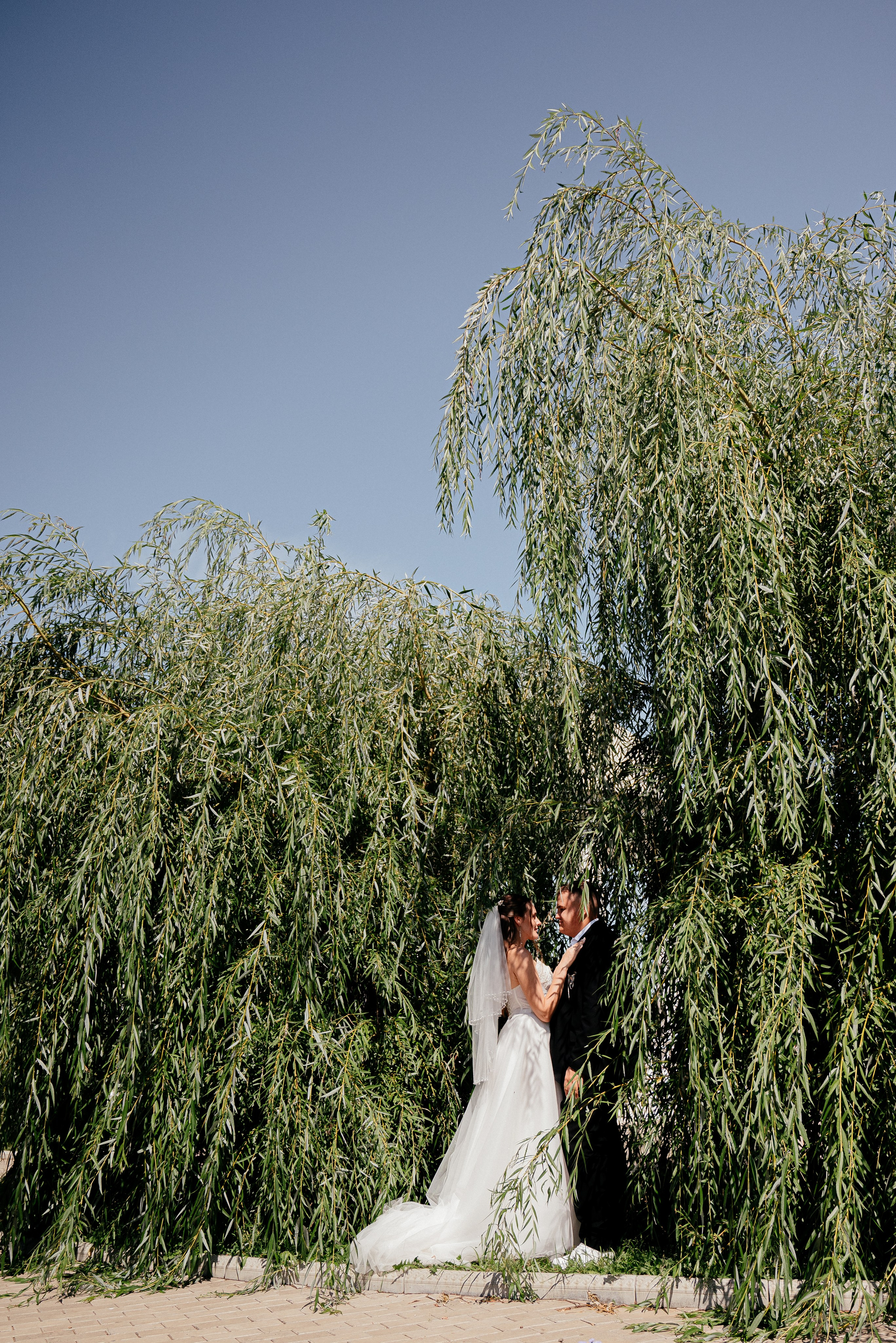 Григорий и Елизавета