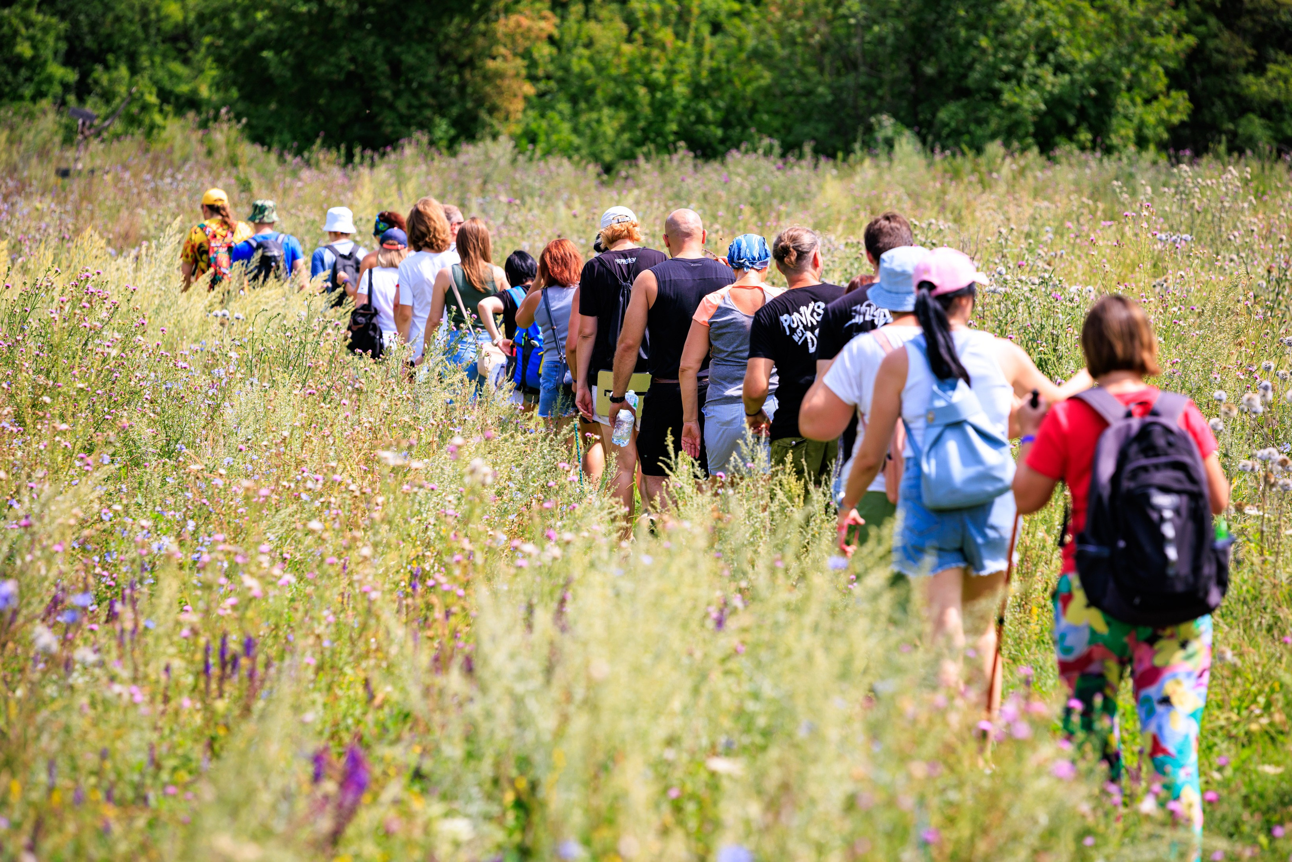 «Горная страна в миниатюре» — экологическая тропа в Аргамач-Пальна. Профессиональный фотограф в Воронеже | Липецке | Тамбове — Алексей Зайцев