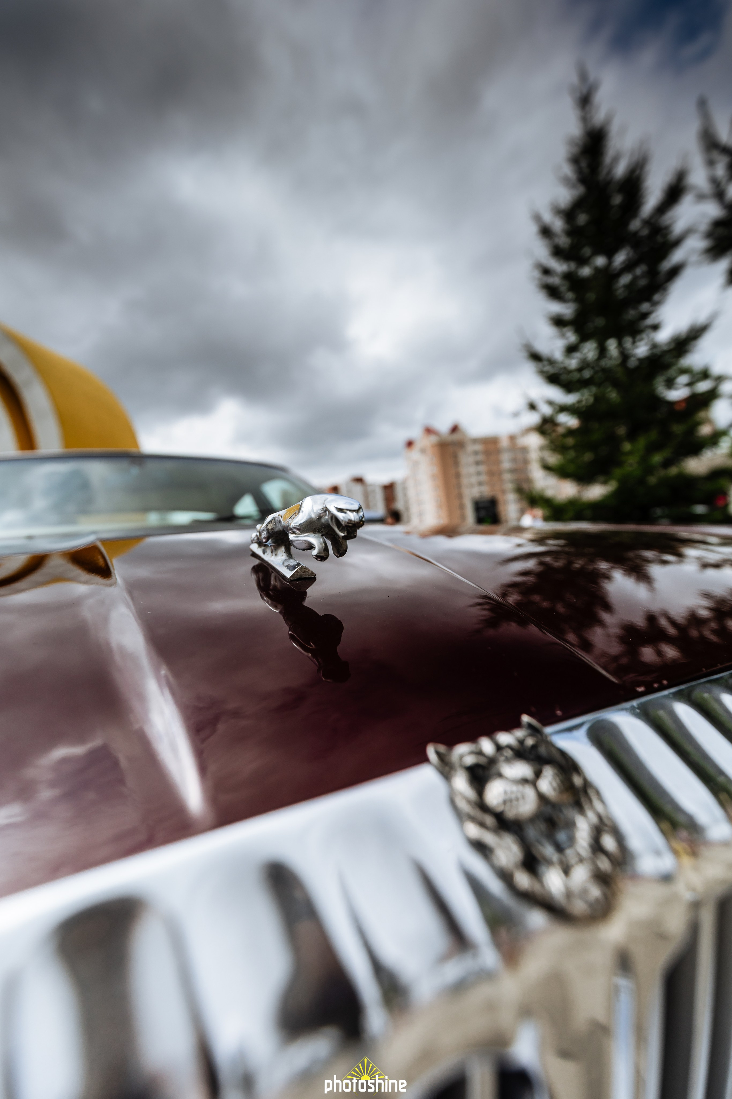 EKB STADIUM MEET 2026. Photoshine | Оля | Фотограф из Челябинска