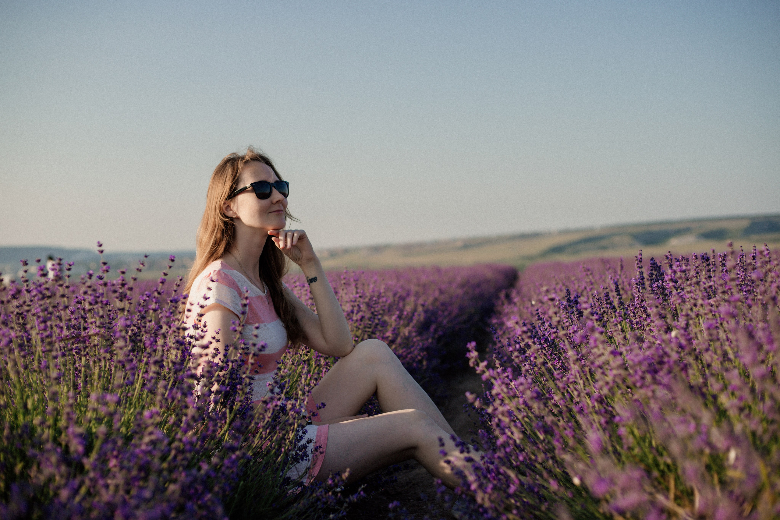 Лаванда. Фотограф и Видеограф Севастополь Крым