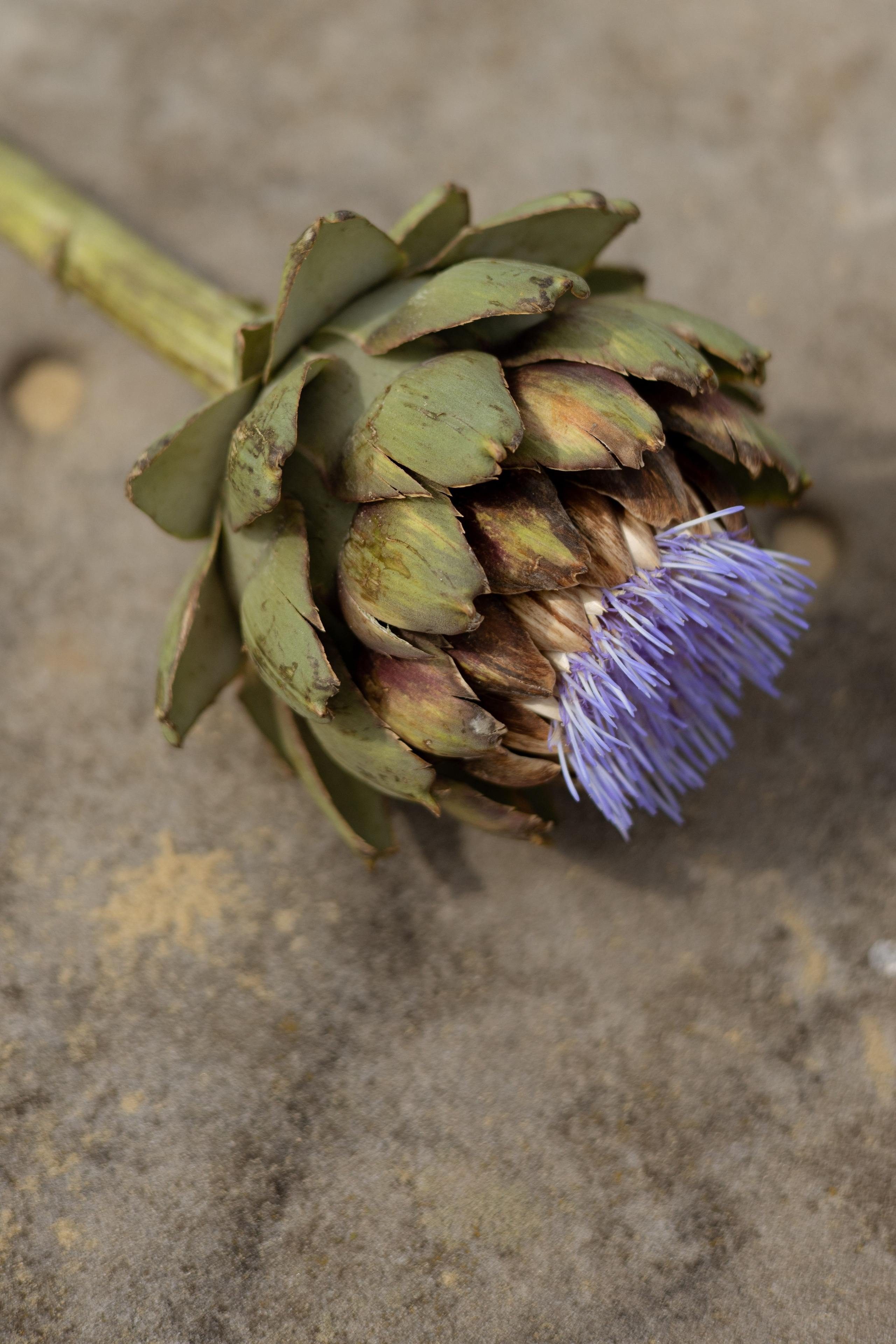 Пляж. Оформление свадеб, декор свадеб Вера Маркова, Москва