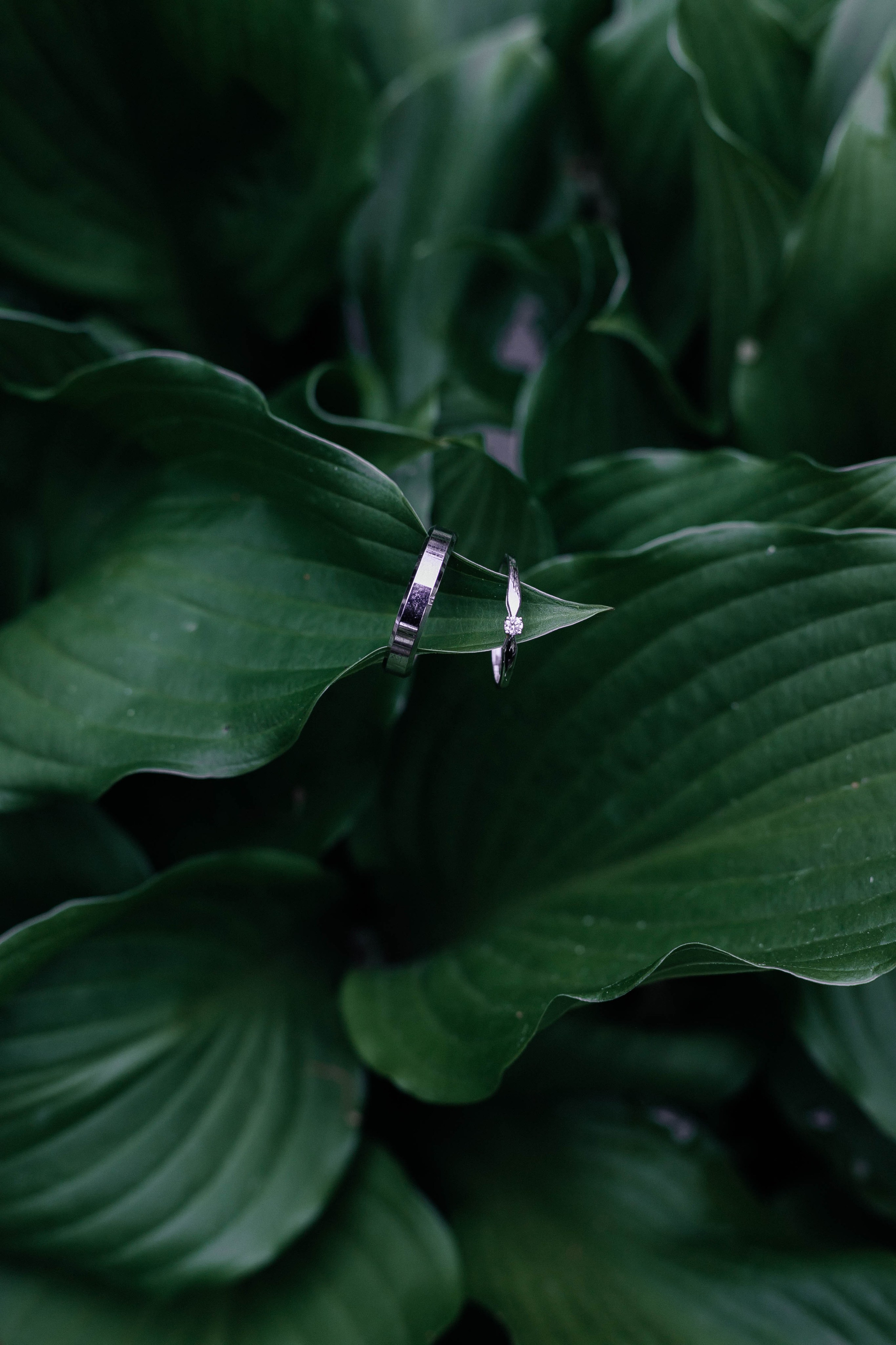 Свадебная прогулка в городе. Фотограф в Минске Ира Сюбарева