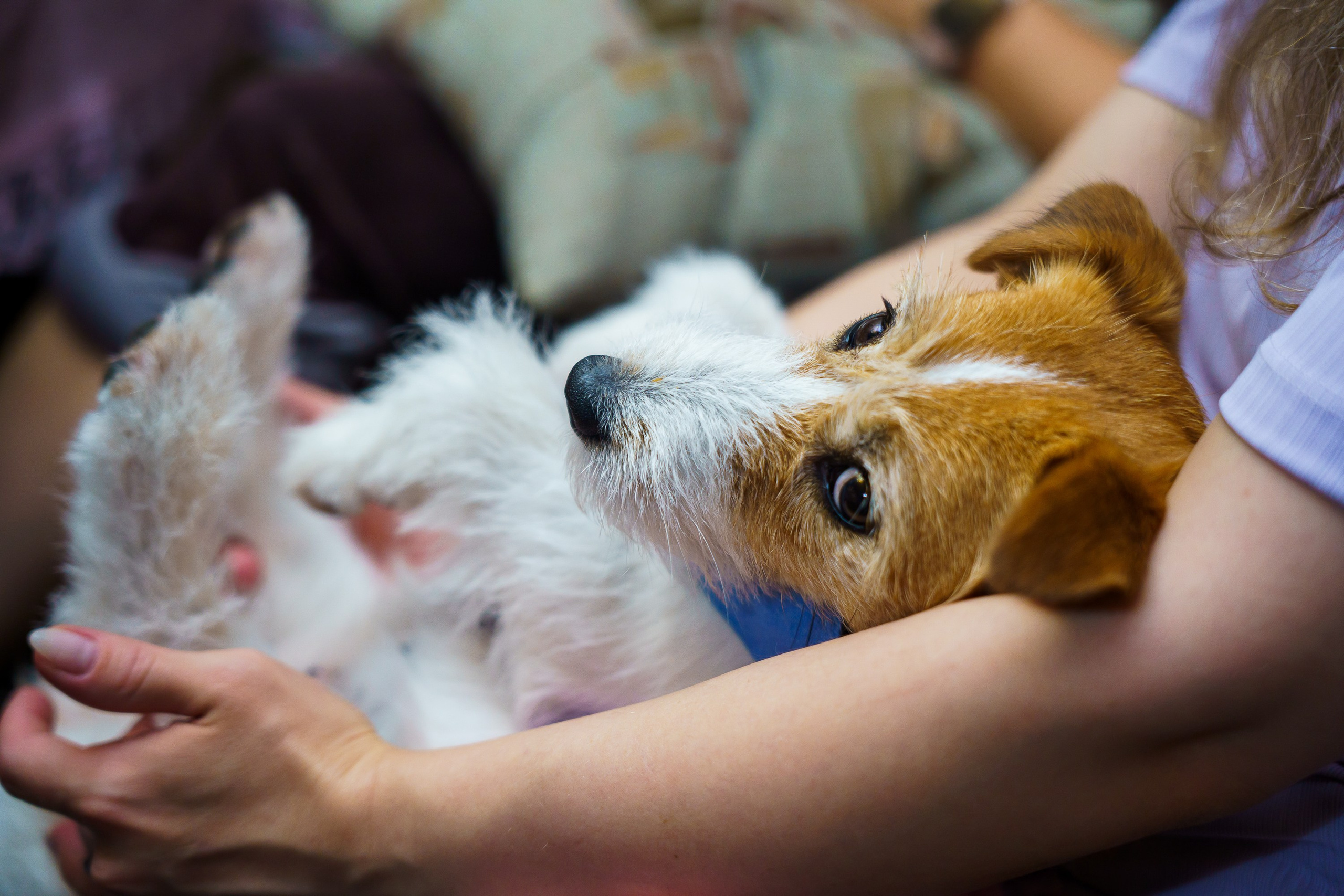 ДР многообожаемого А.В.!. Фотограф Челябинск · Ольга Серебрякова