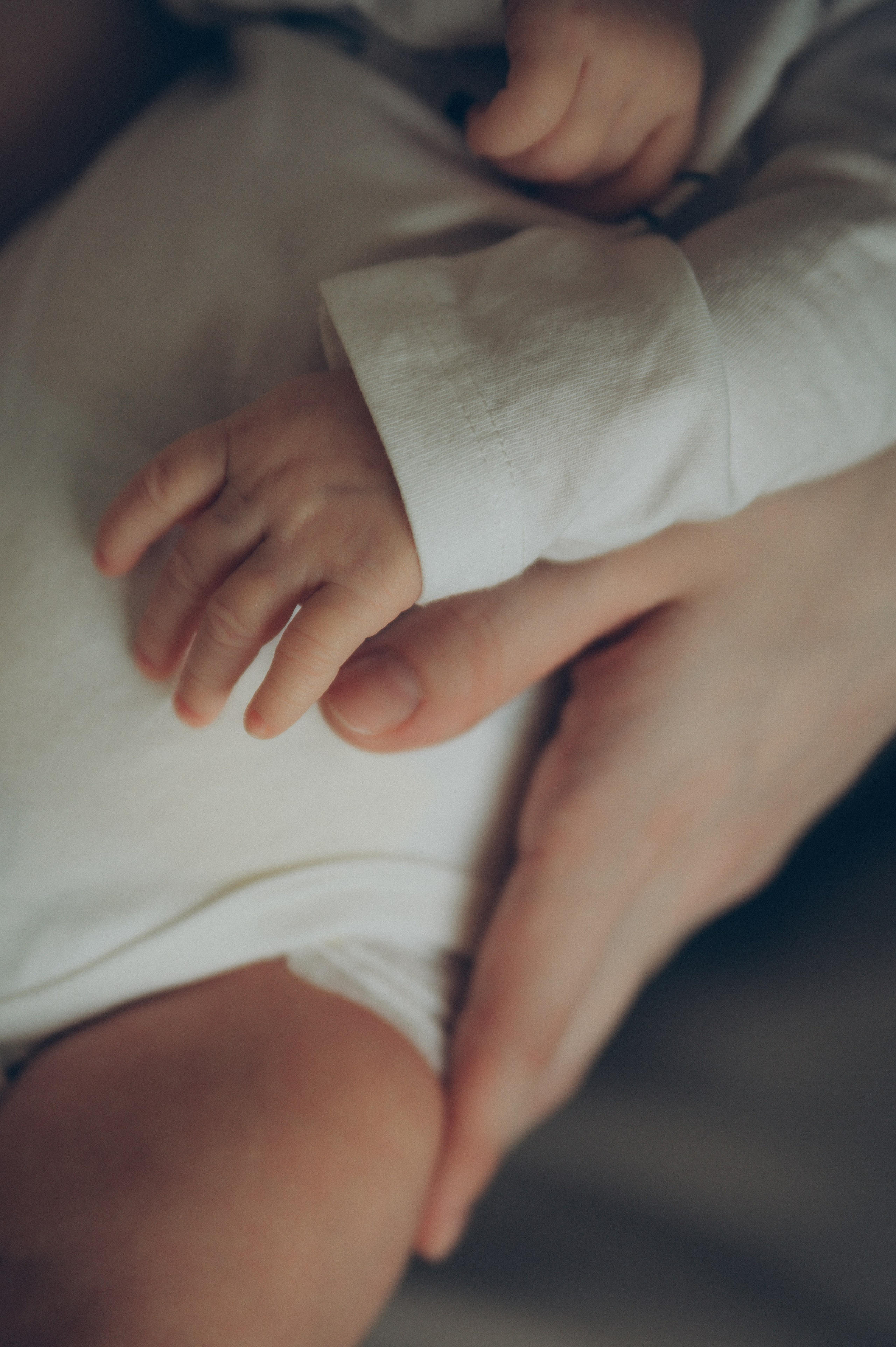 Ева, Алена и Вадим (домашняя). Фотограф, г. Лесной Свердловской области