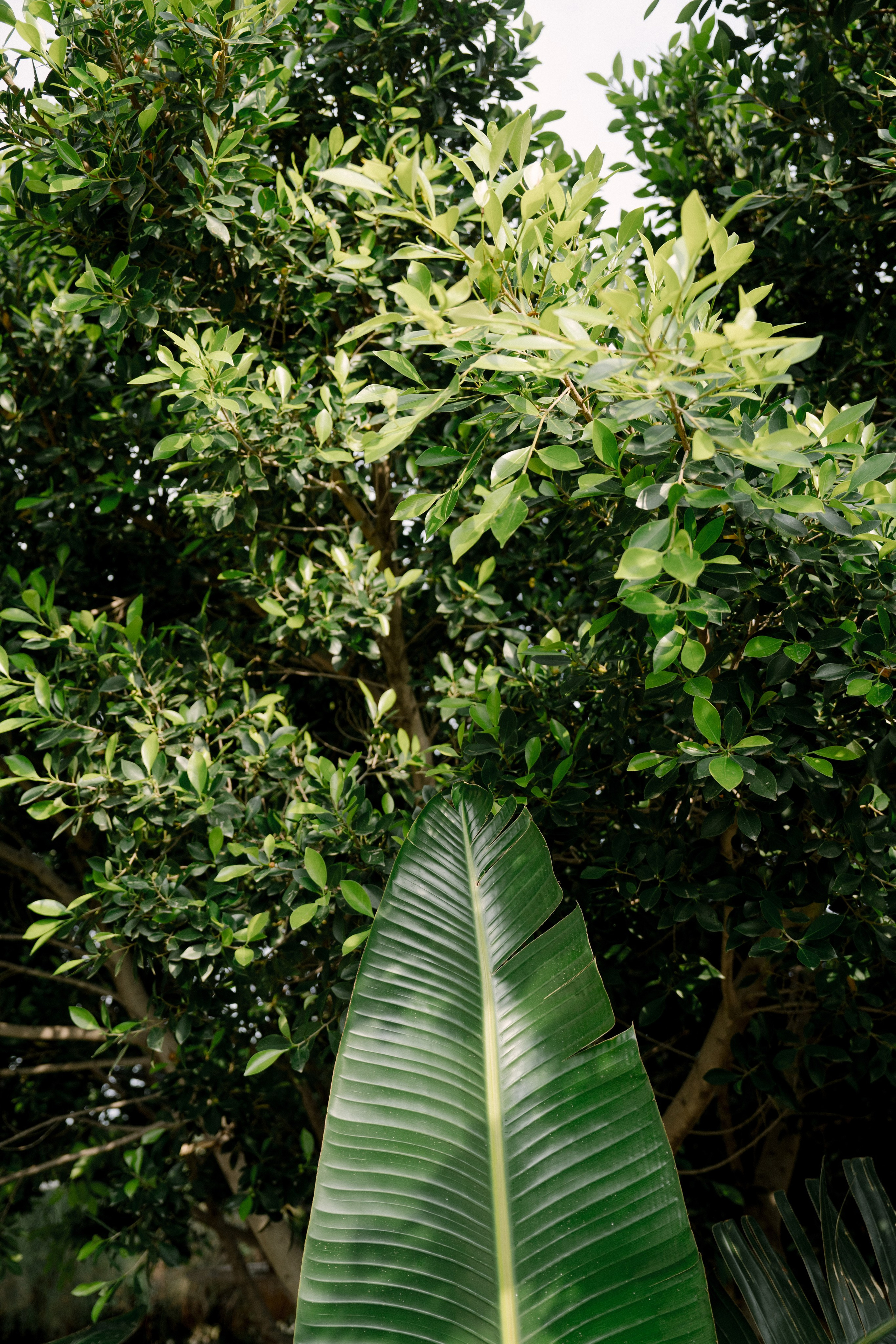 Андрей & Александра. Бодрум. Оформление свадеб, декор свадеб Вера Маркова, Москва