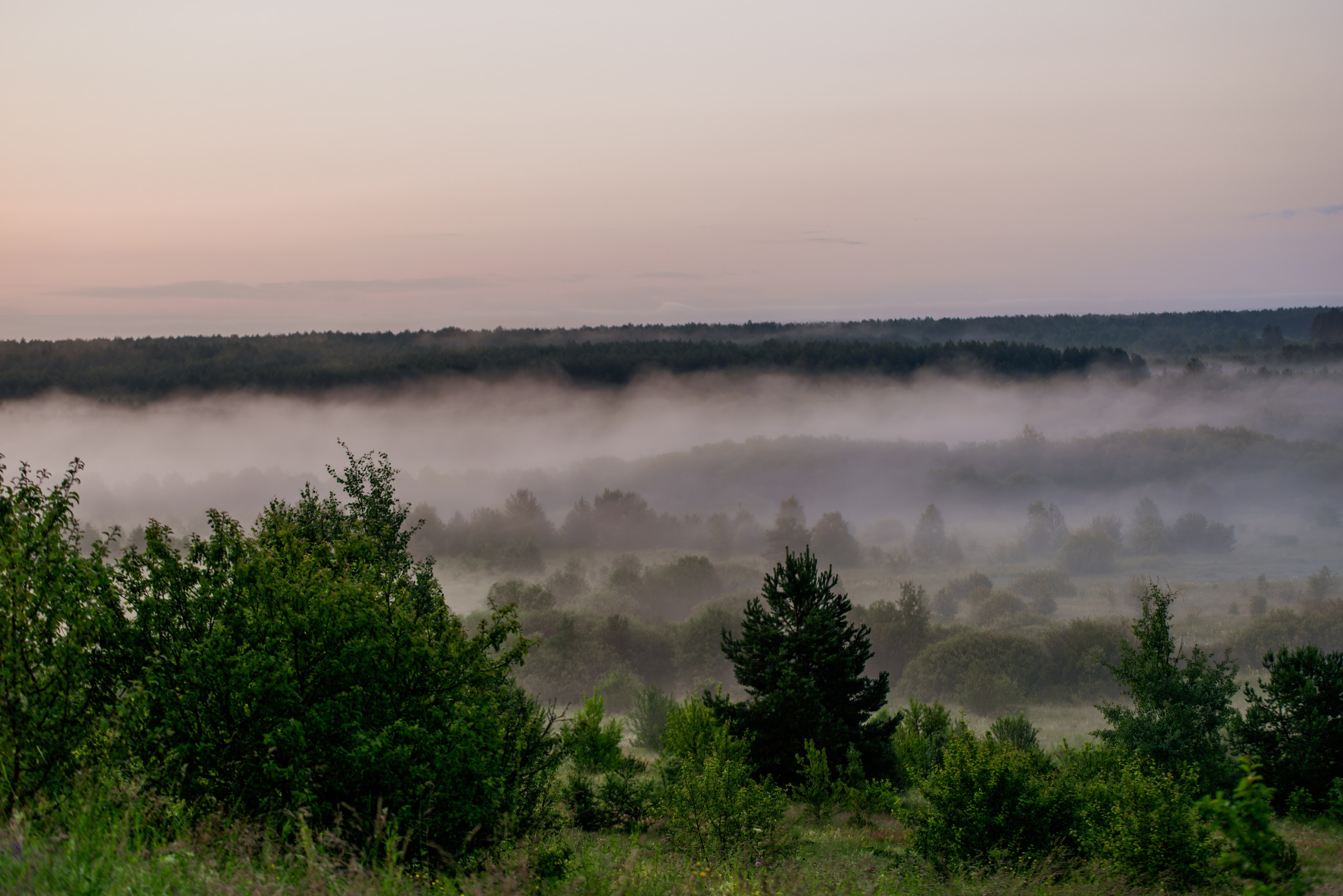 Туманное летнее утро. Фотограф в Ветлуге Сергей Белов (VETLUGA B.S.)