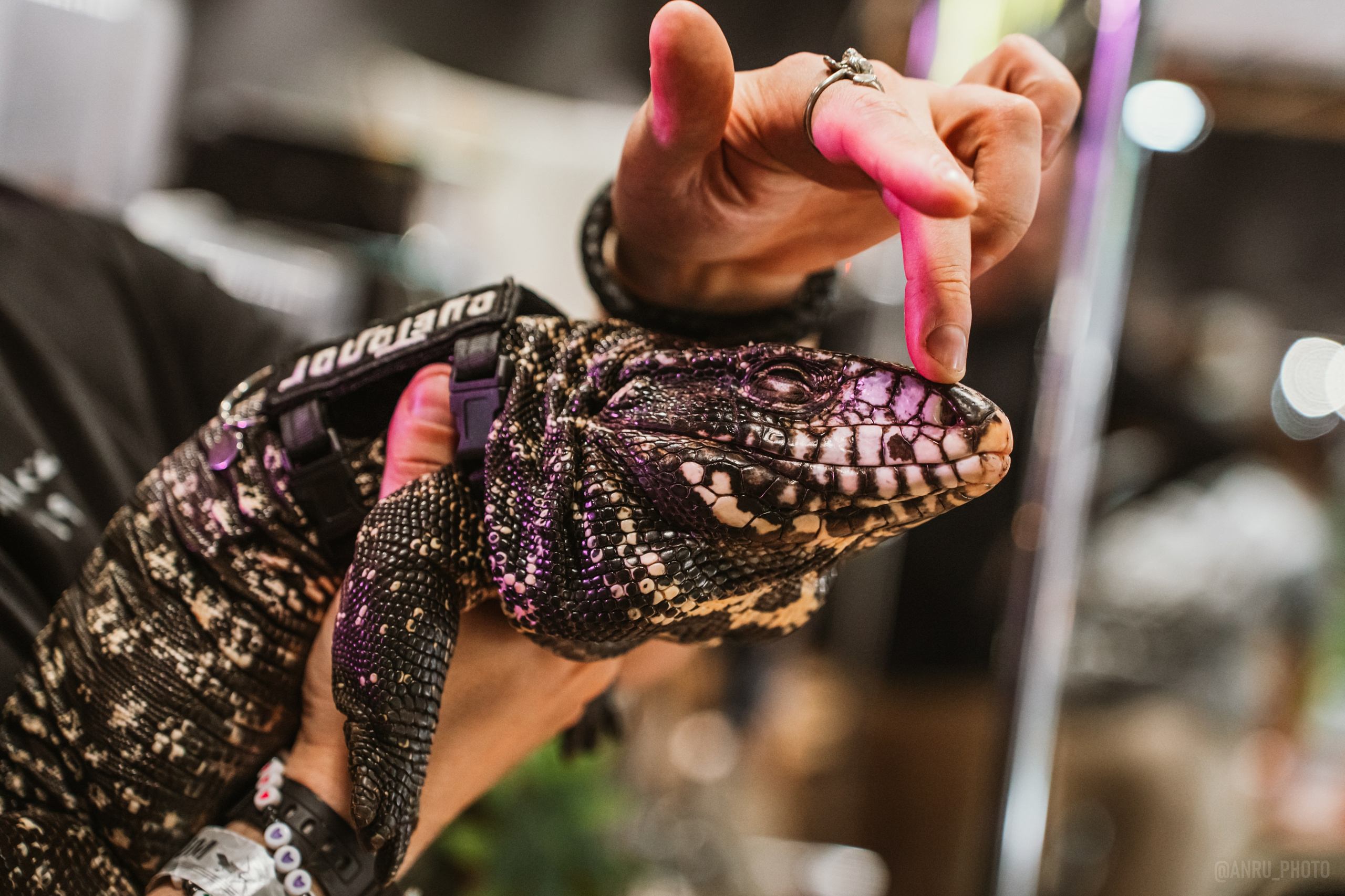 Рептилиум. Репортажный фотограф Анастасия Рубцова