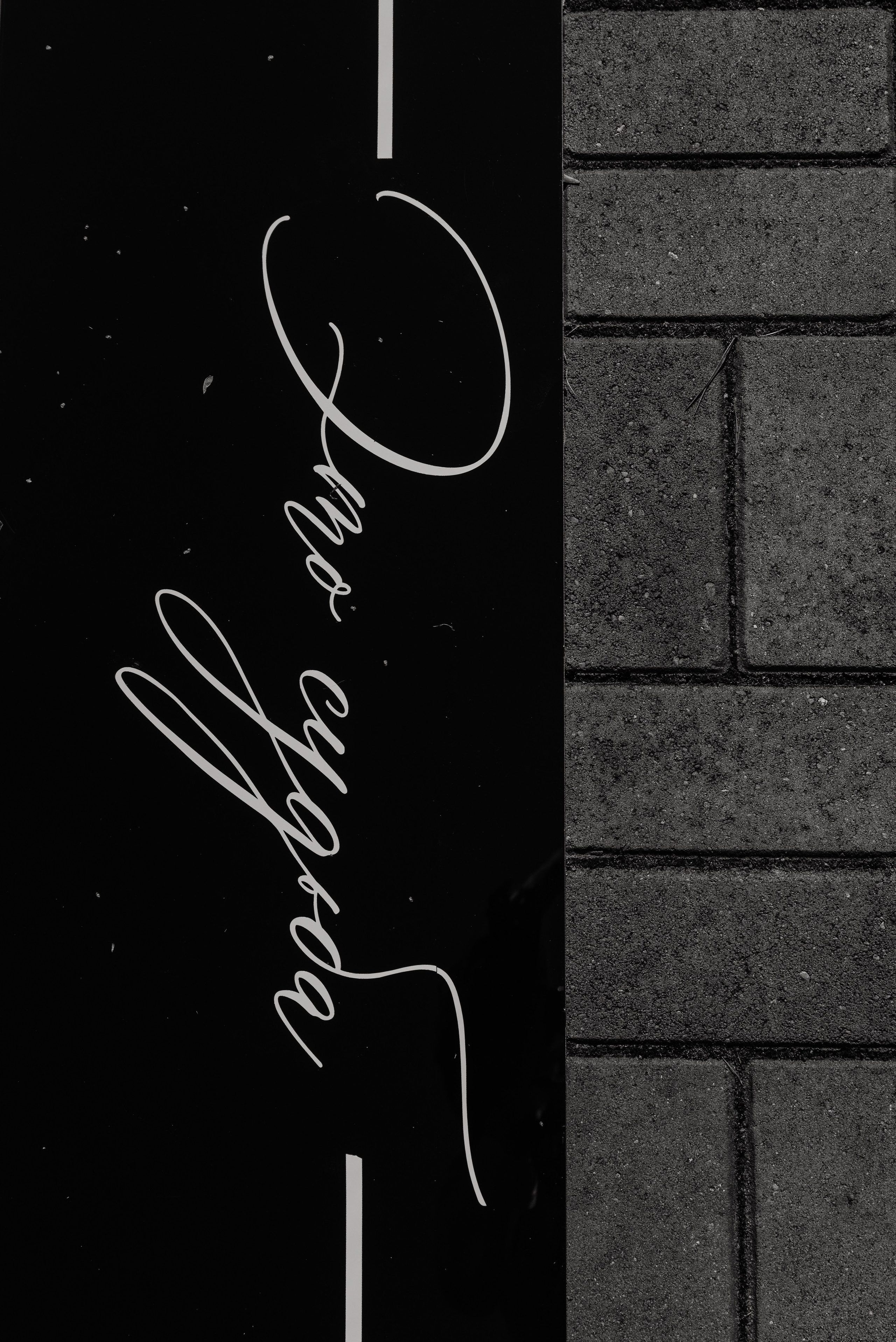 Парк Звезд. Свадебный и семейный фотограф в городе Смоленске