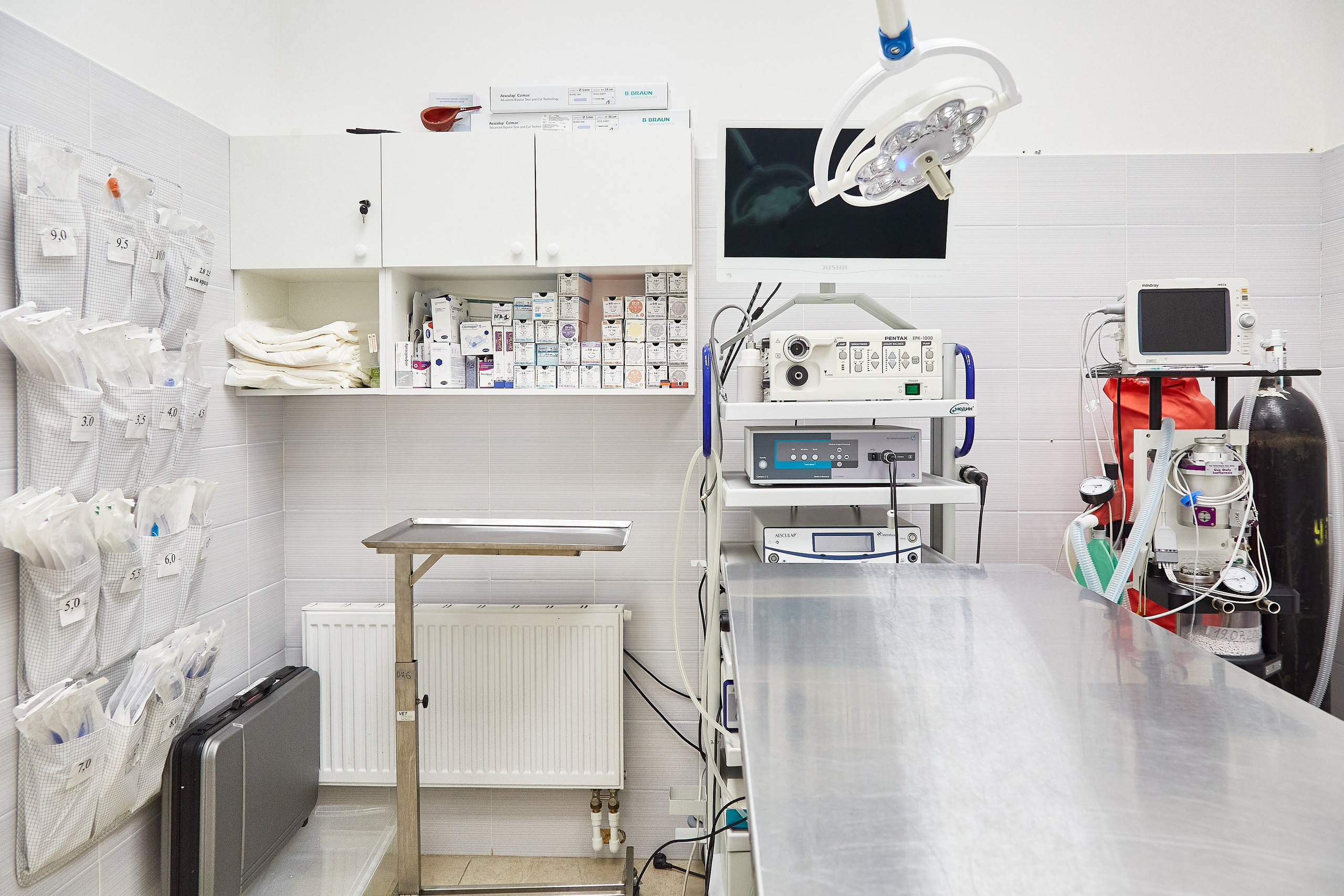 Ветеринарная клиника Косточка на Дальневосточном пр. Фотограф Анастасия Леонтьева Санкт-Петербург