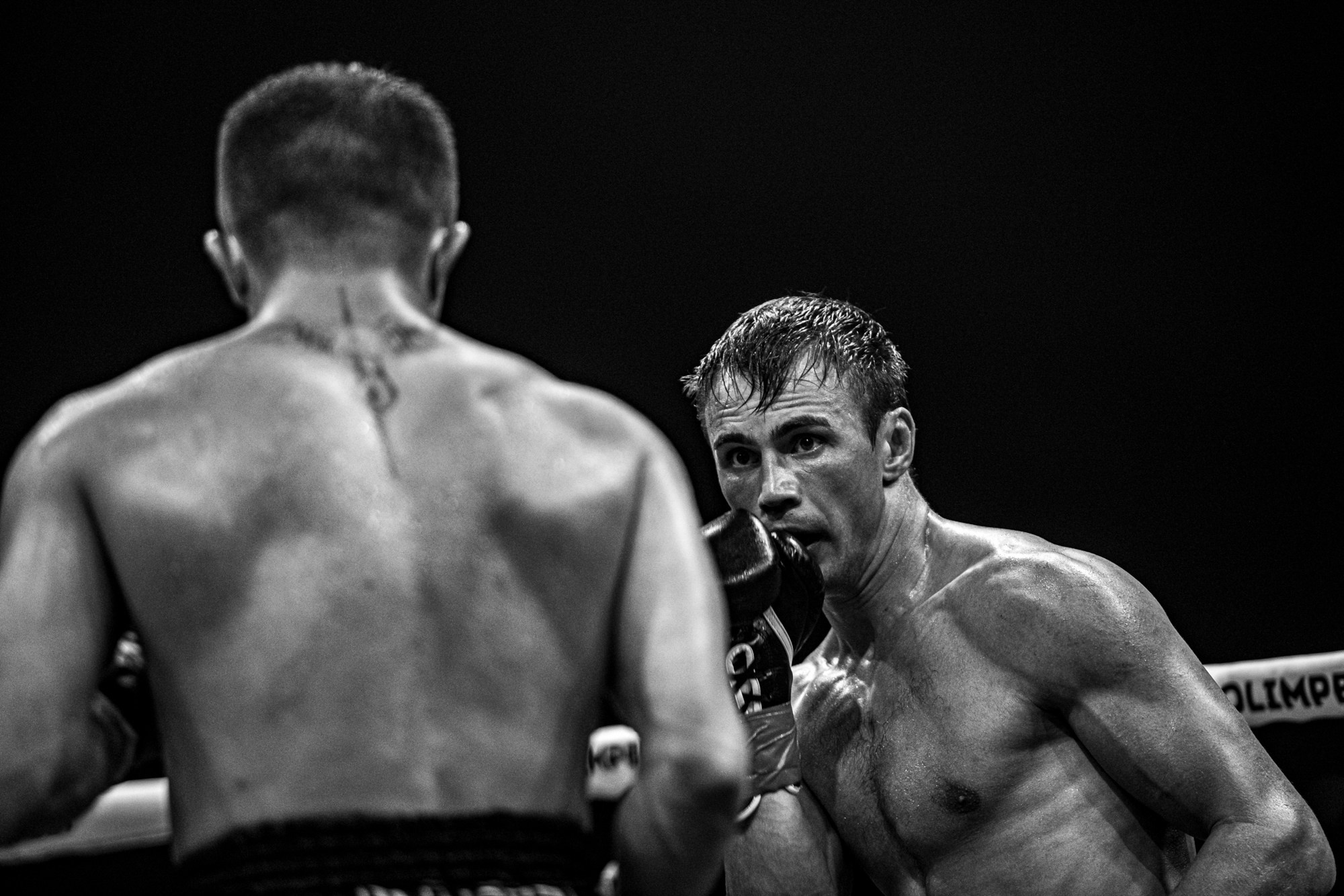 Вечер бокса в Прокопьевске. ProfotoNK