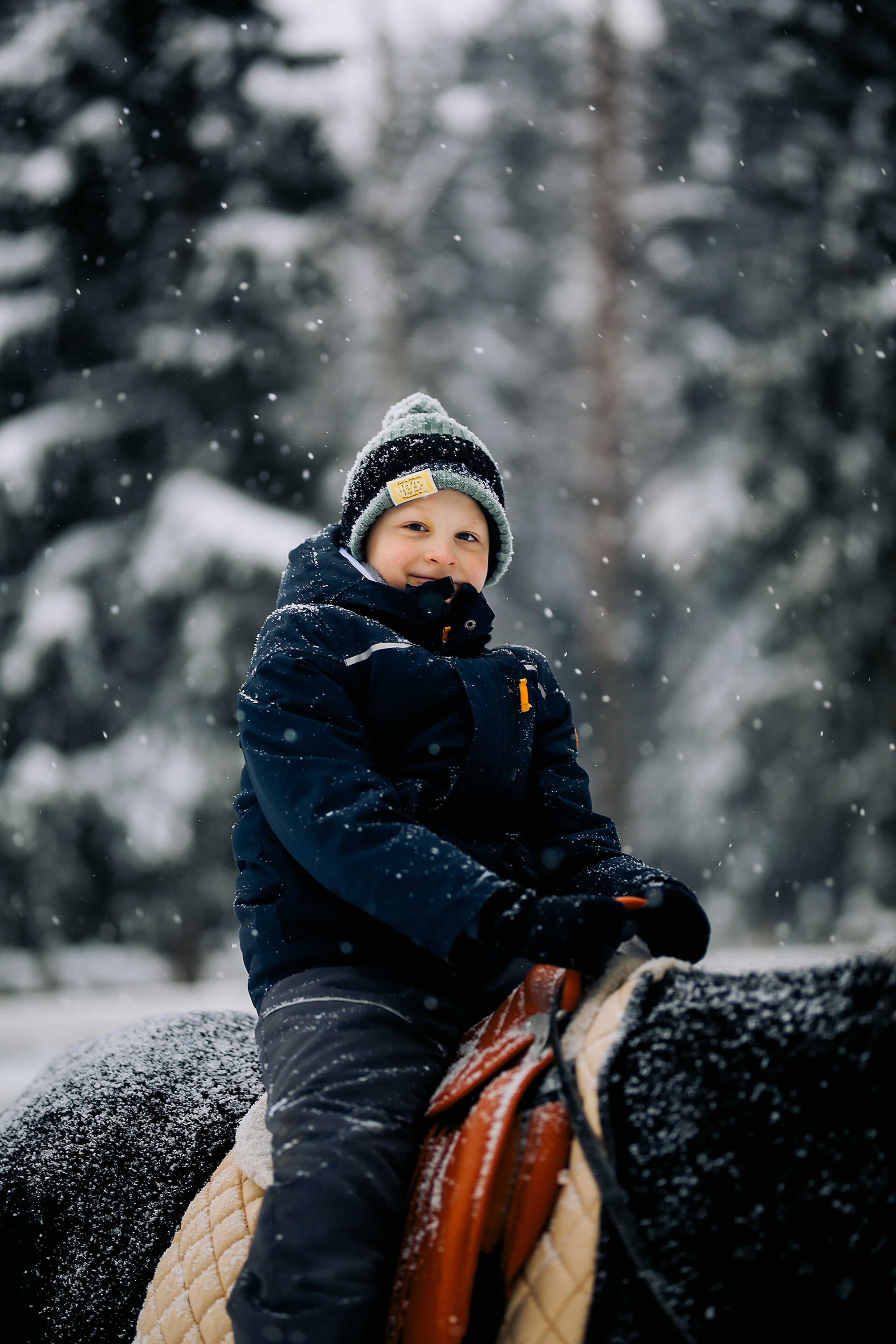 С лошадками. Фотограф Анастасия Залевская
