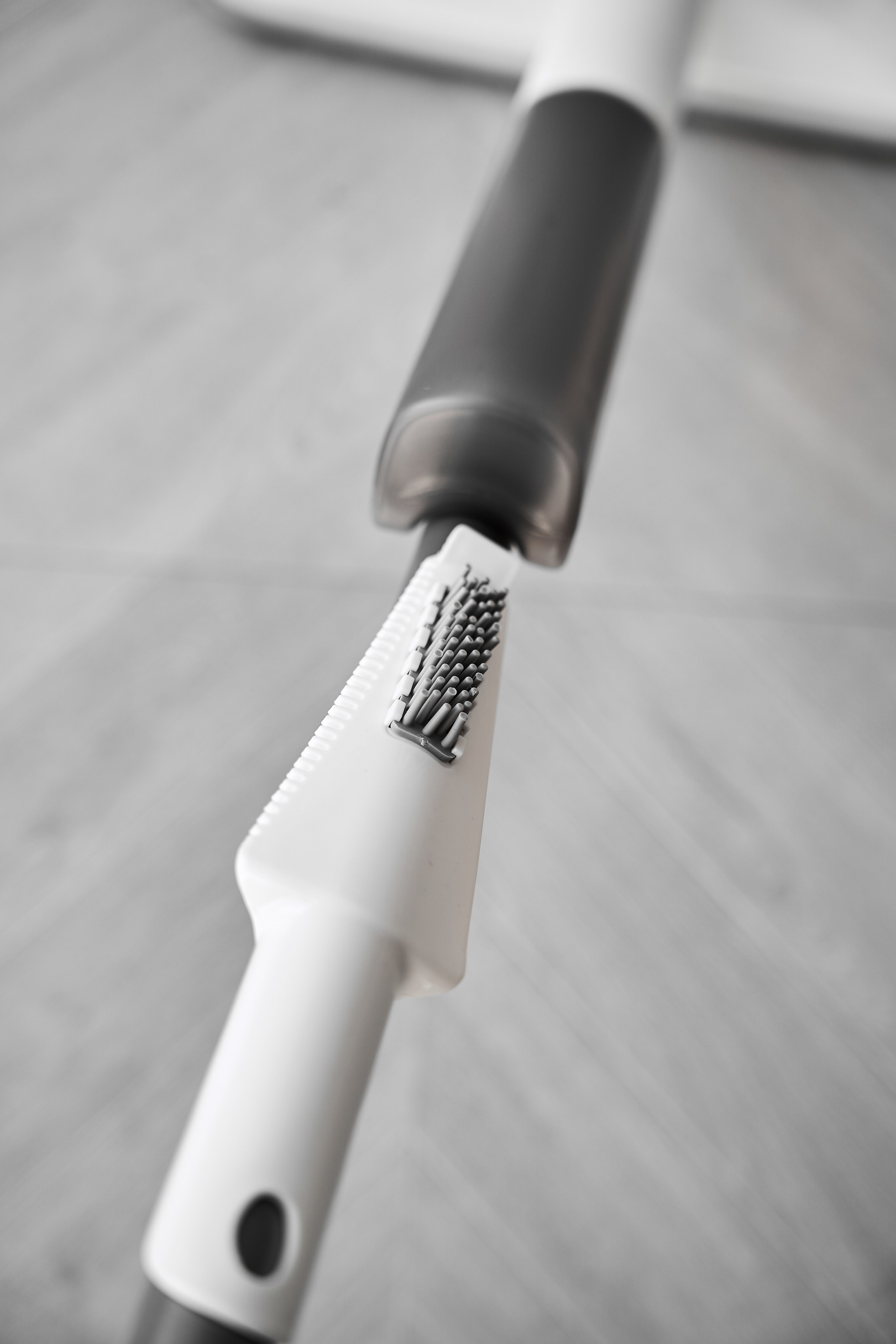 White cat. Фотограф в Москве Казакова Анна