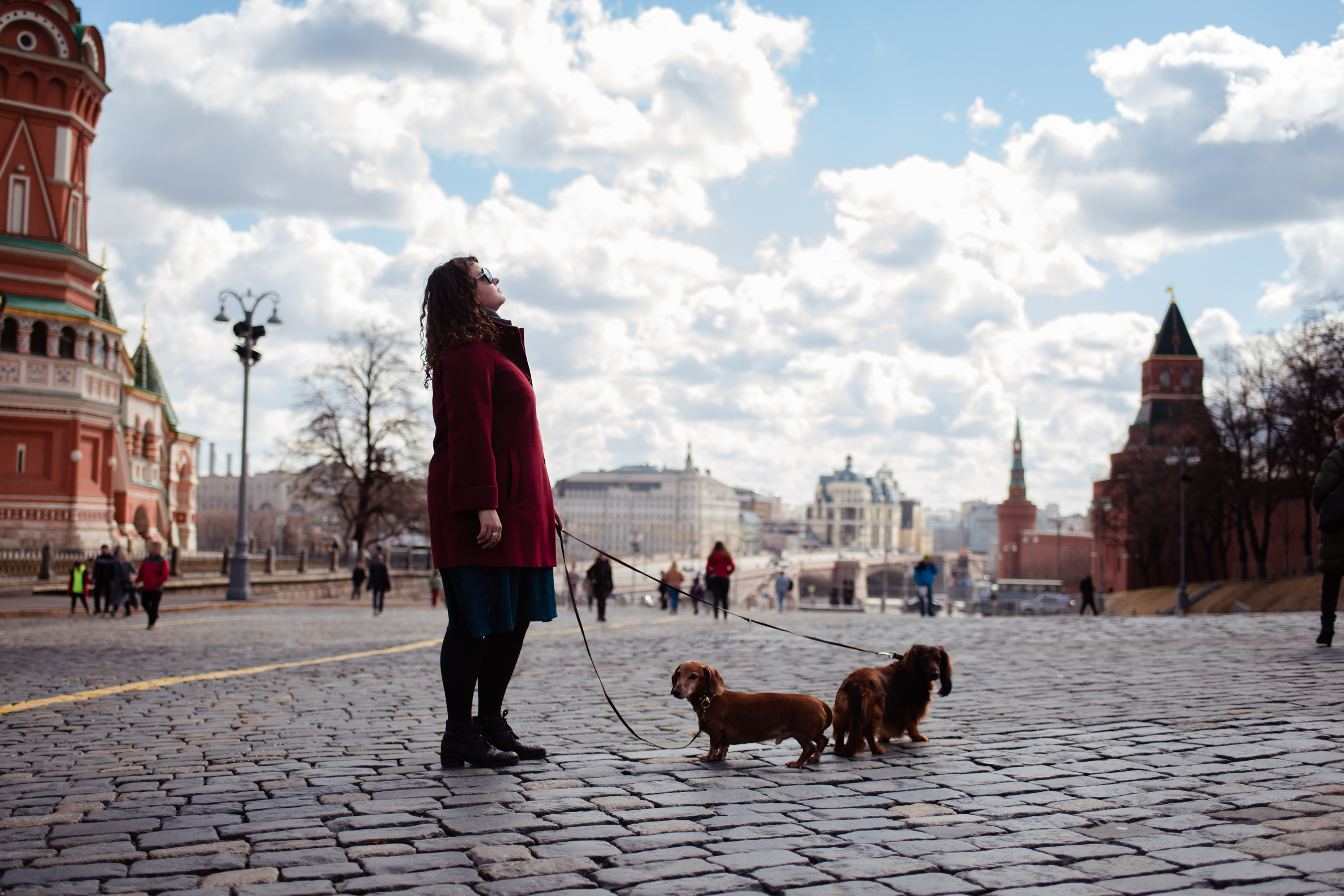 Таксы на Красной площади. Семейный Фотограф в Москве Ирина Хохлова