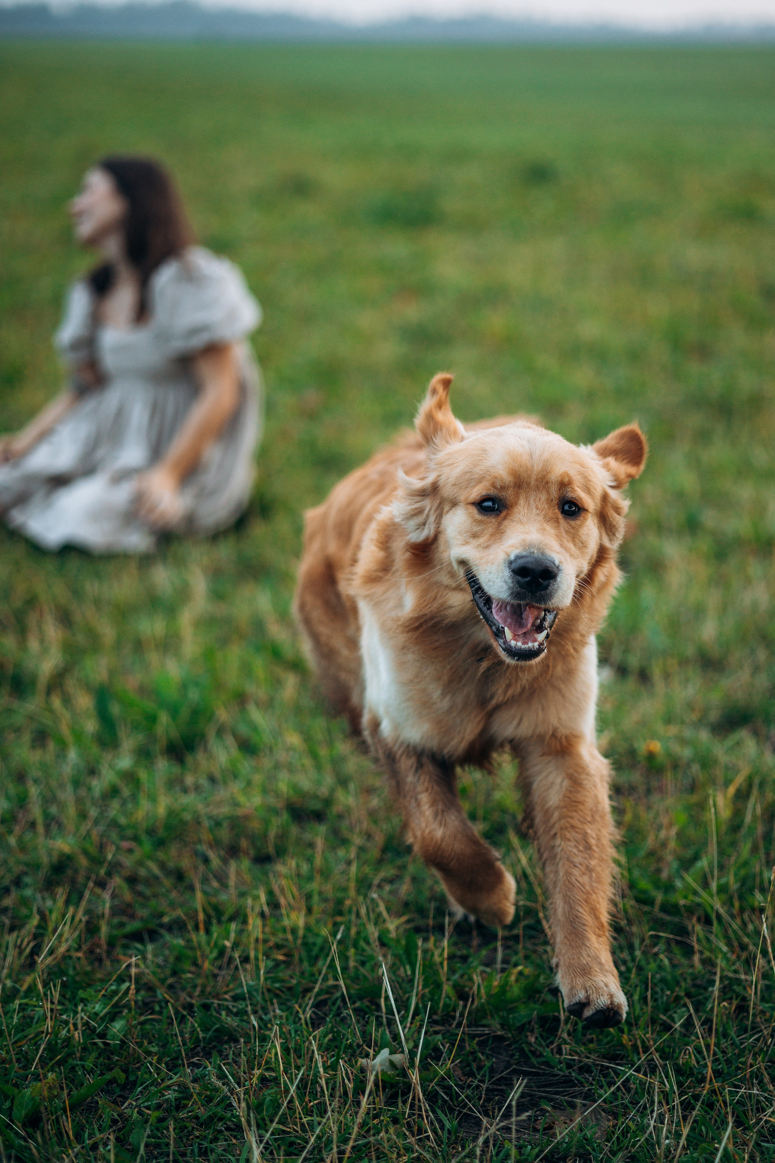Аня и Ноллан. Фотограф — Анималист | Санкт-Петербург