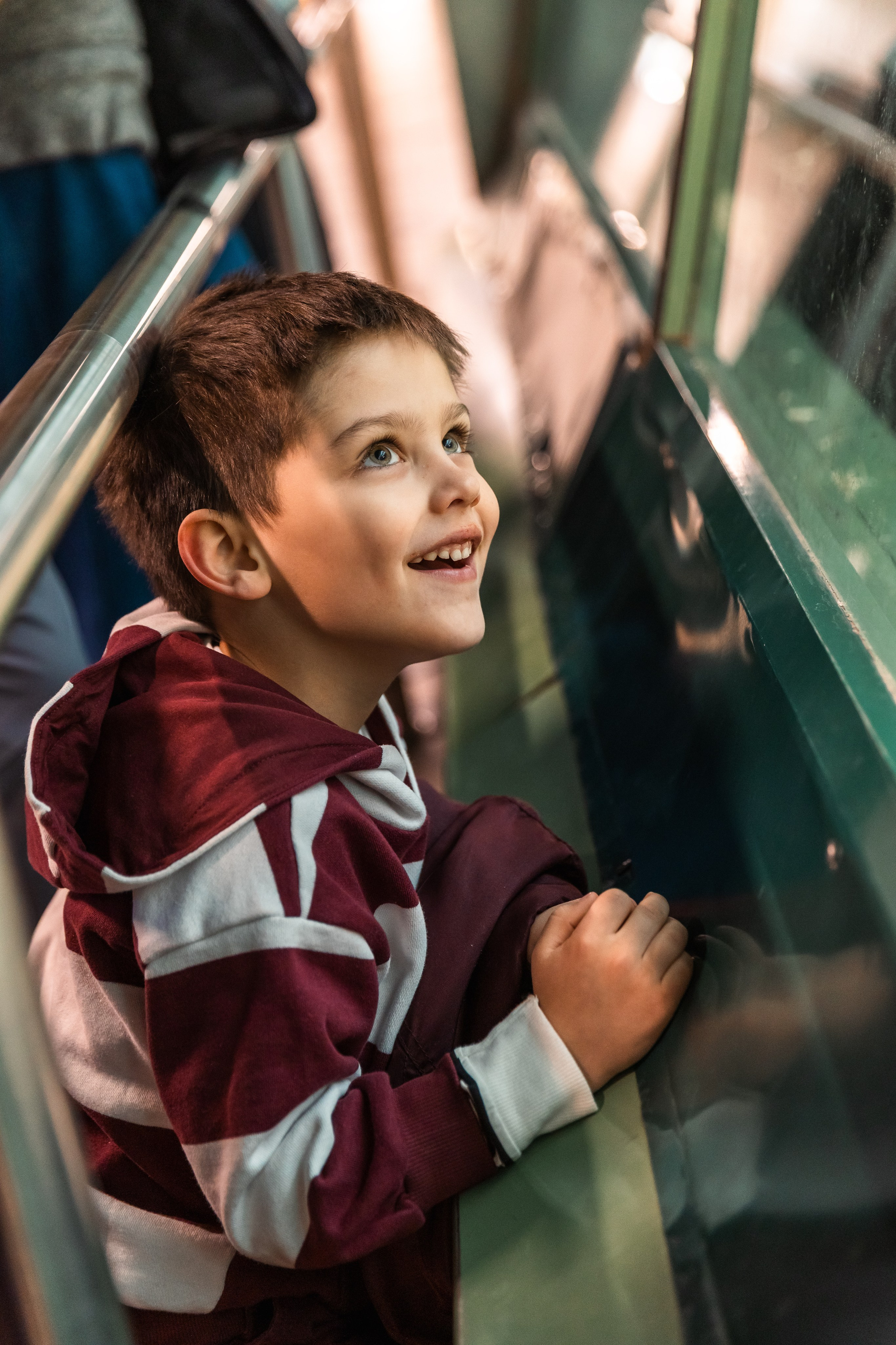 Zoo. Семейный фотограф Израиль