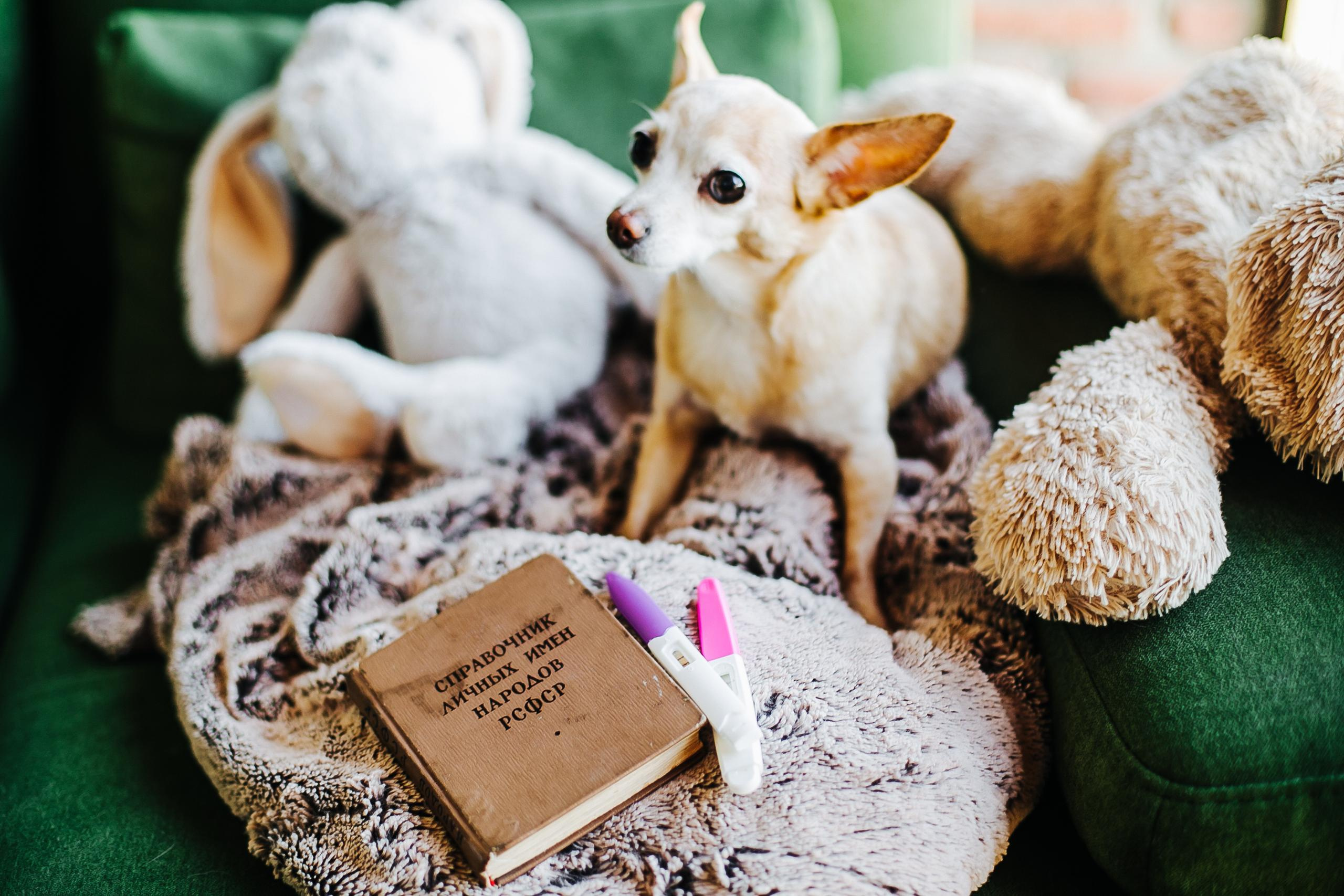 В ожидании малышки. Фотограф Полина Егорова город Тюмень