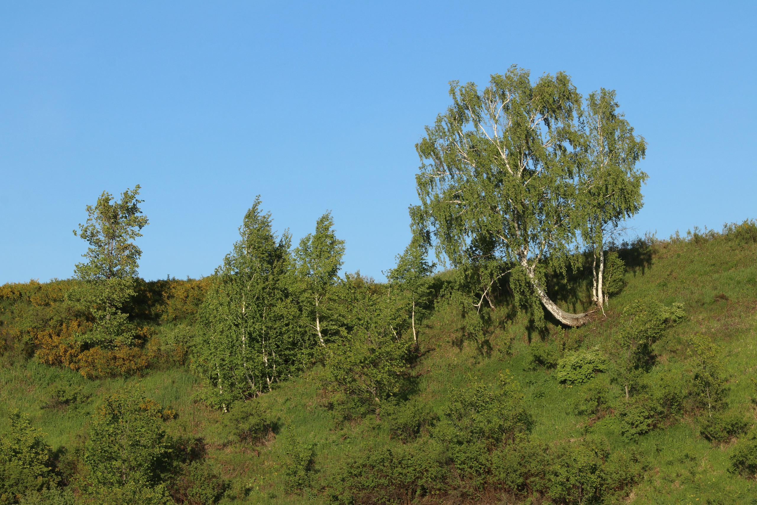 Велопоход Уфа — Мелеуз. Май 2024. Путешественник-фотограф из Санкт-Петербурга Татьяна Свистулина