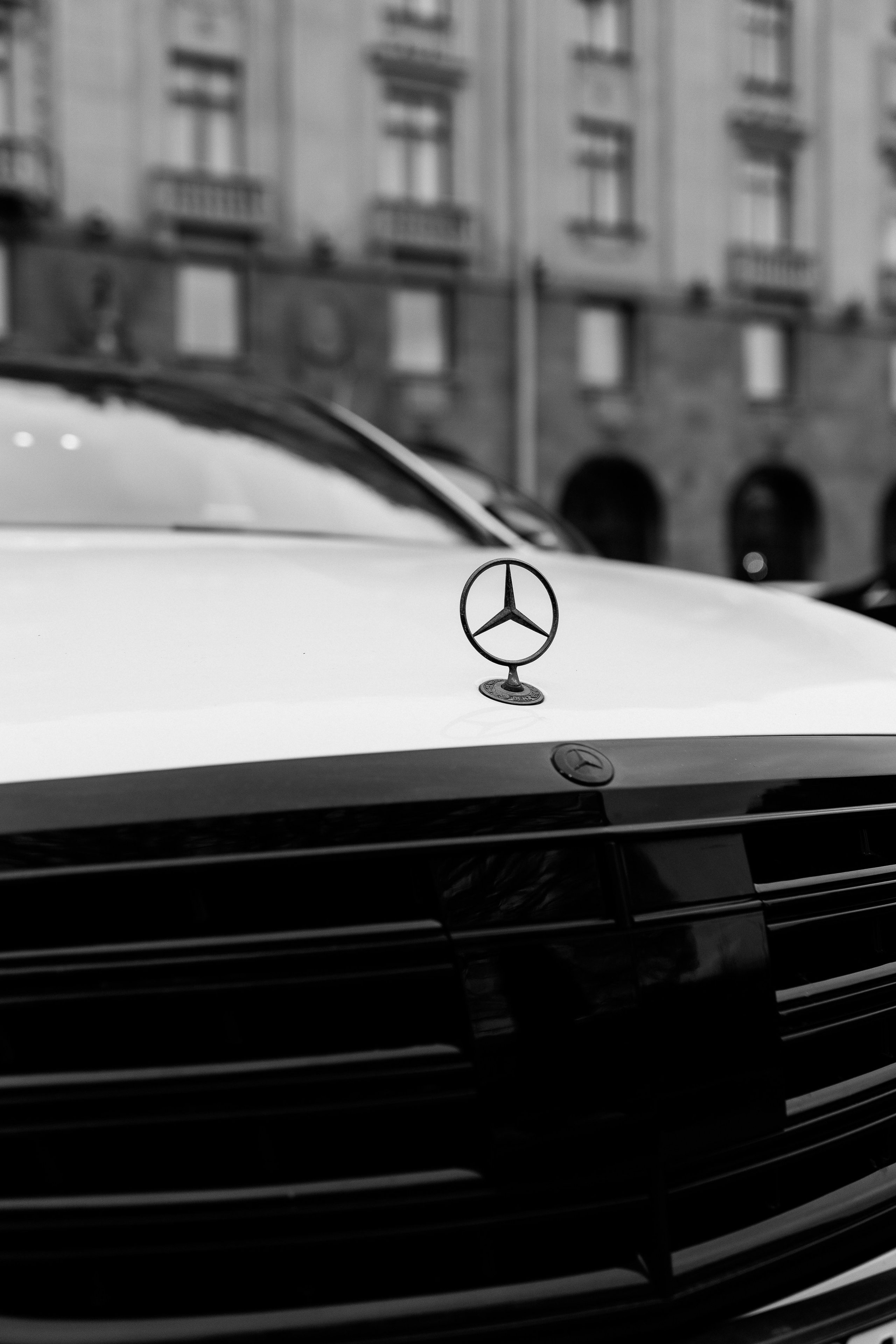 Станислав и Кристина. Семейный и Свадебный Фотограф в Санкт-Петербурге Науменко Владислав