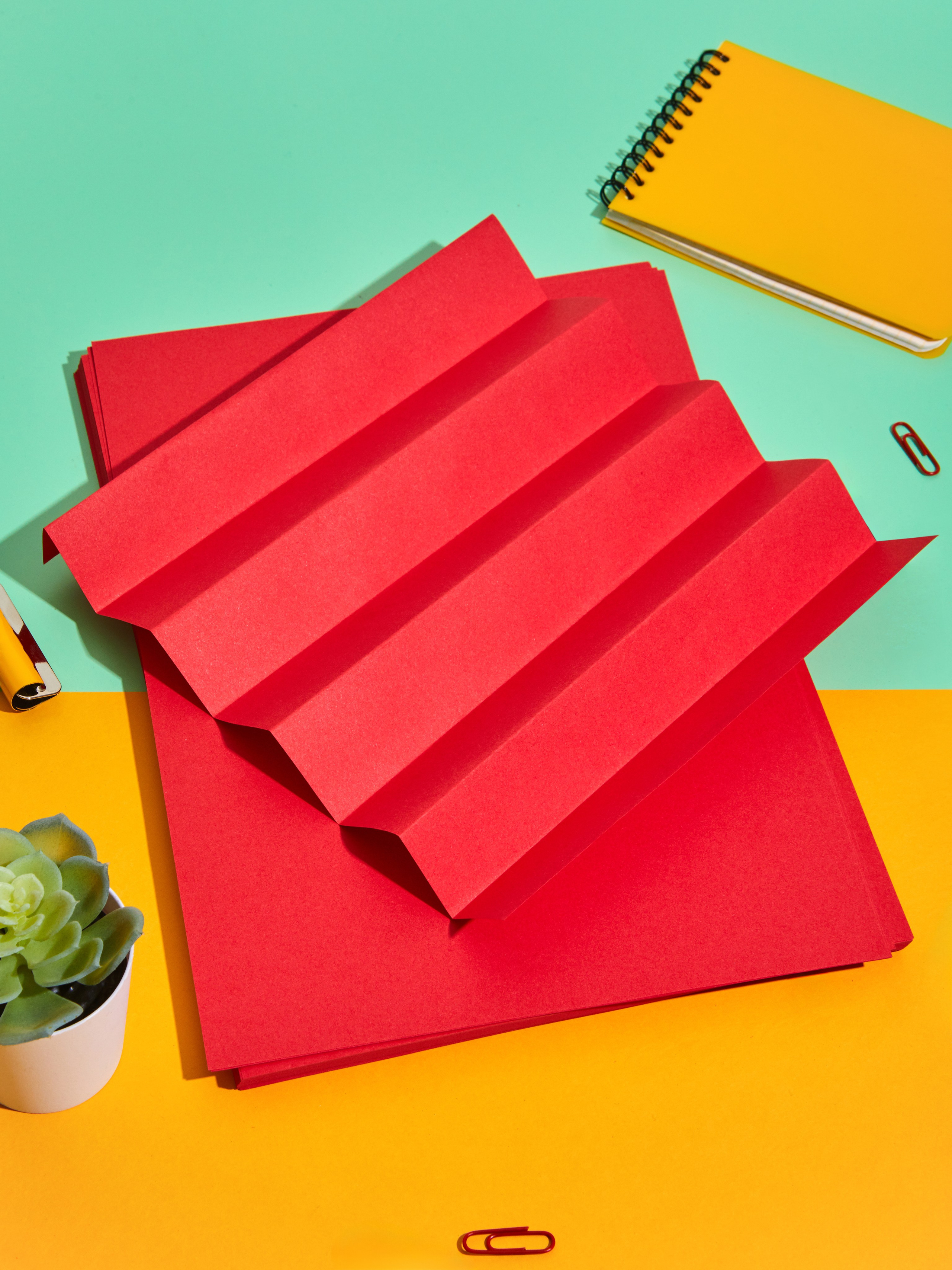 Komus. Aleksandra Egorova photo