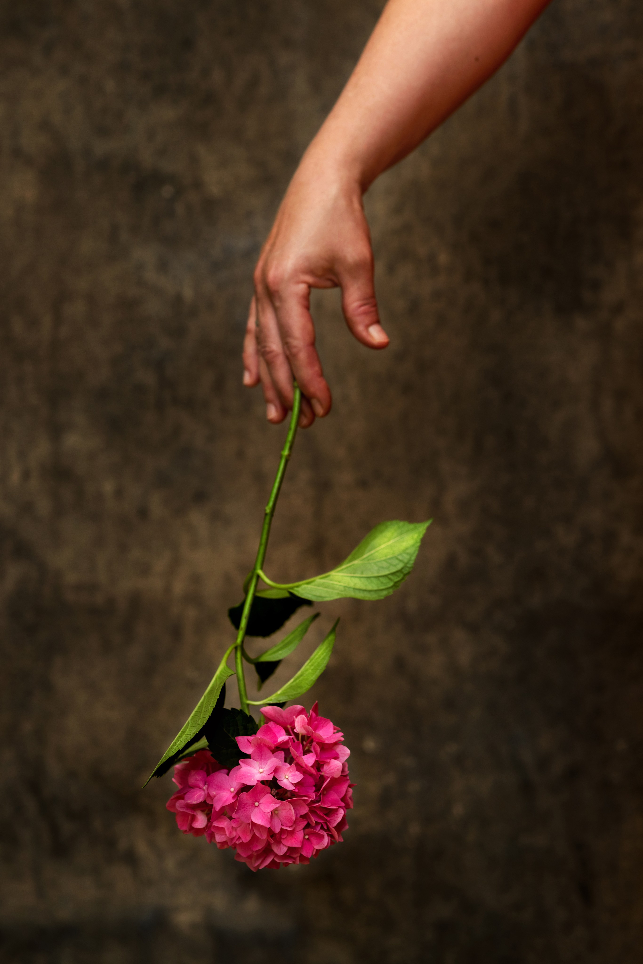 Антонина. Портретная и индивидуальная фотосъёмка в Граце и Тюмени