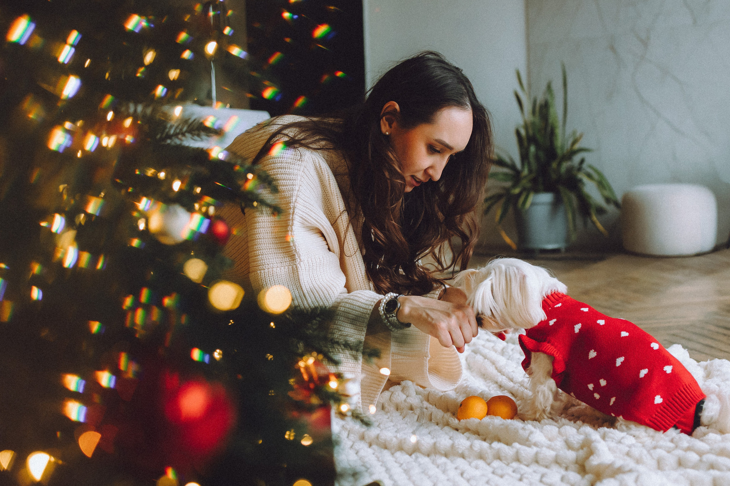 Констанция и Молли