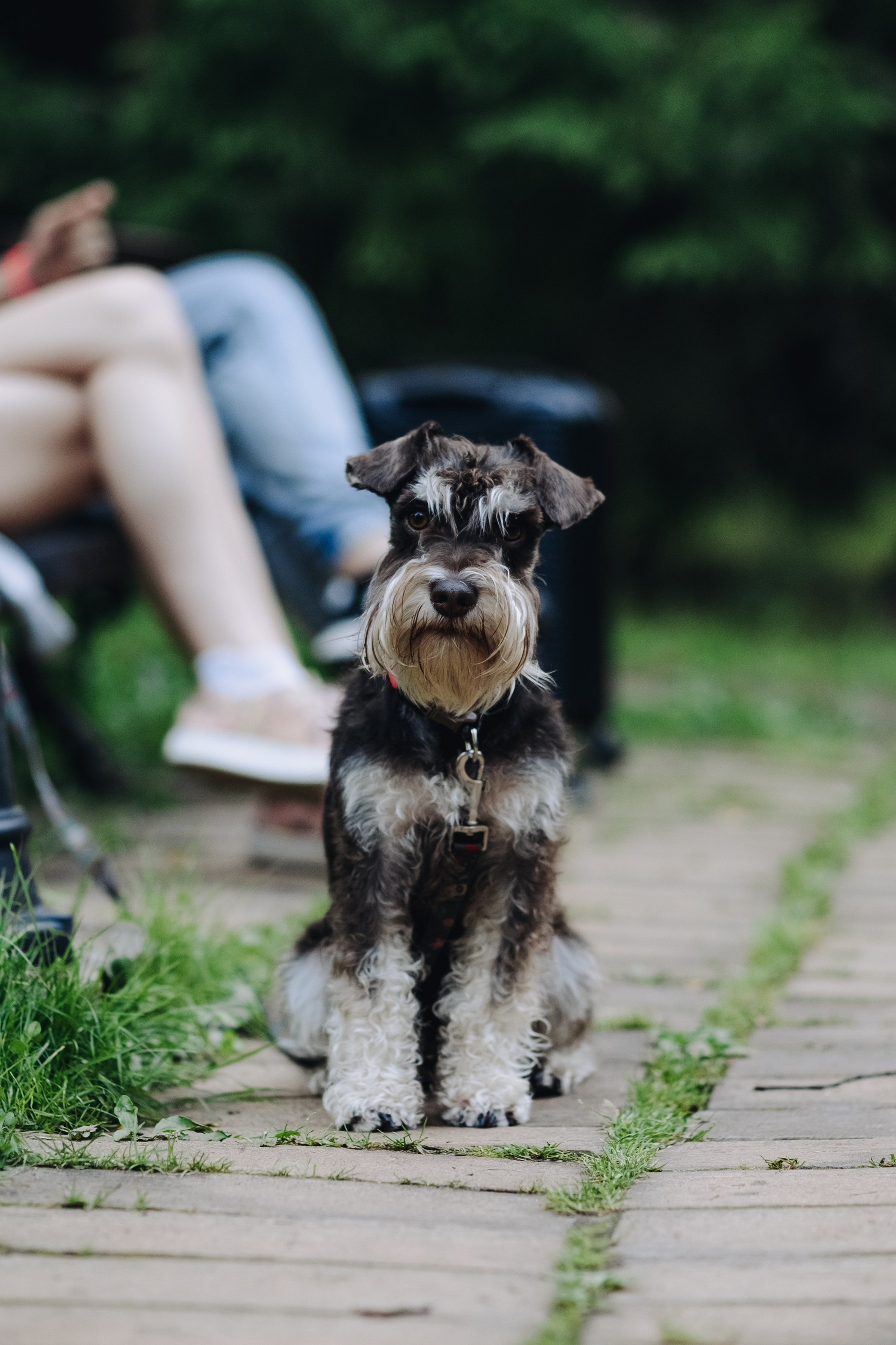 Фестиваль музыки Signon Open Air Fest