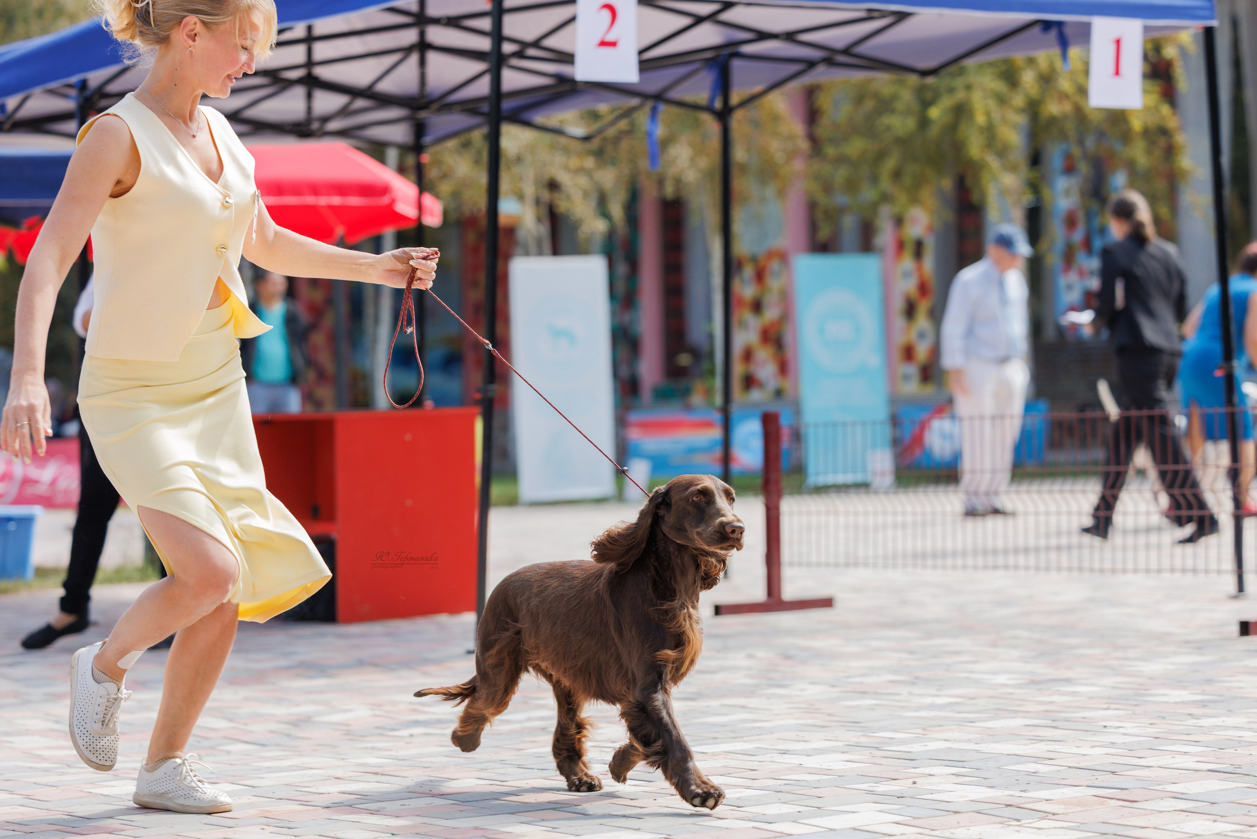 Ташкент 3хCACIB 3-5.10.2025. Фотограф-анималист Юлия Германика