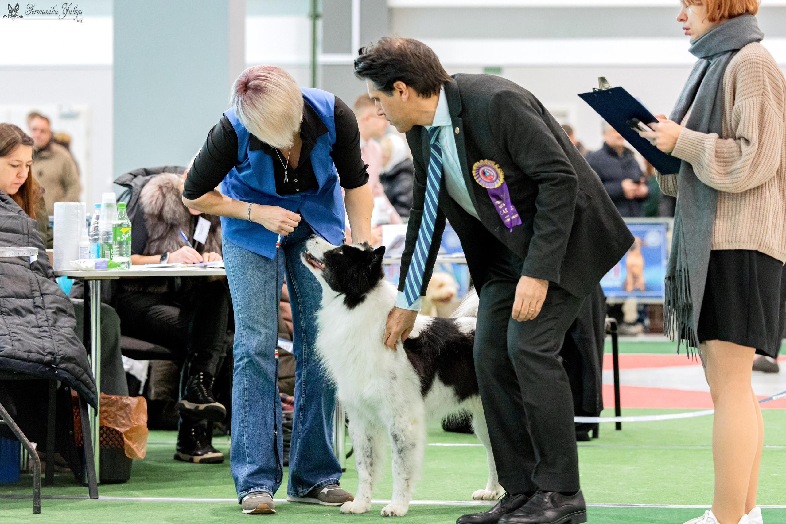 Минск 25-26.11.2023. Фотограф-анималист Юлия Германика