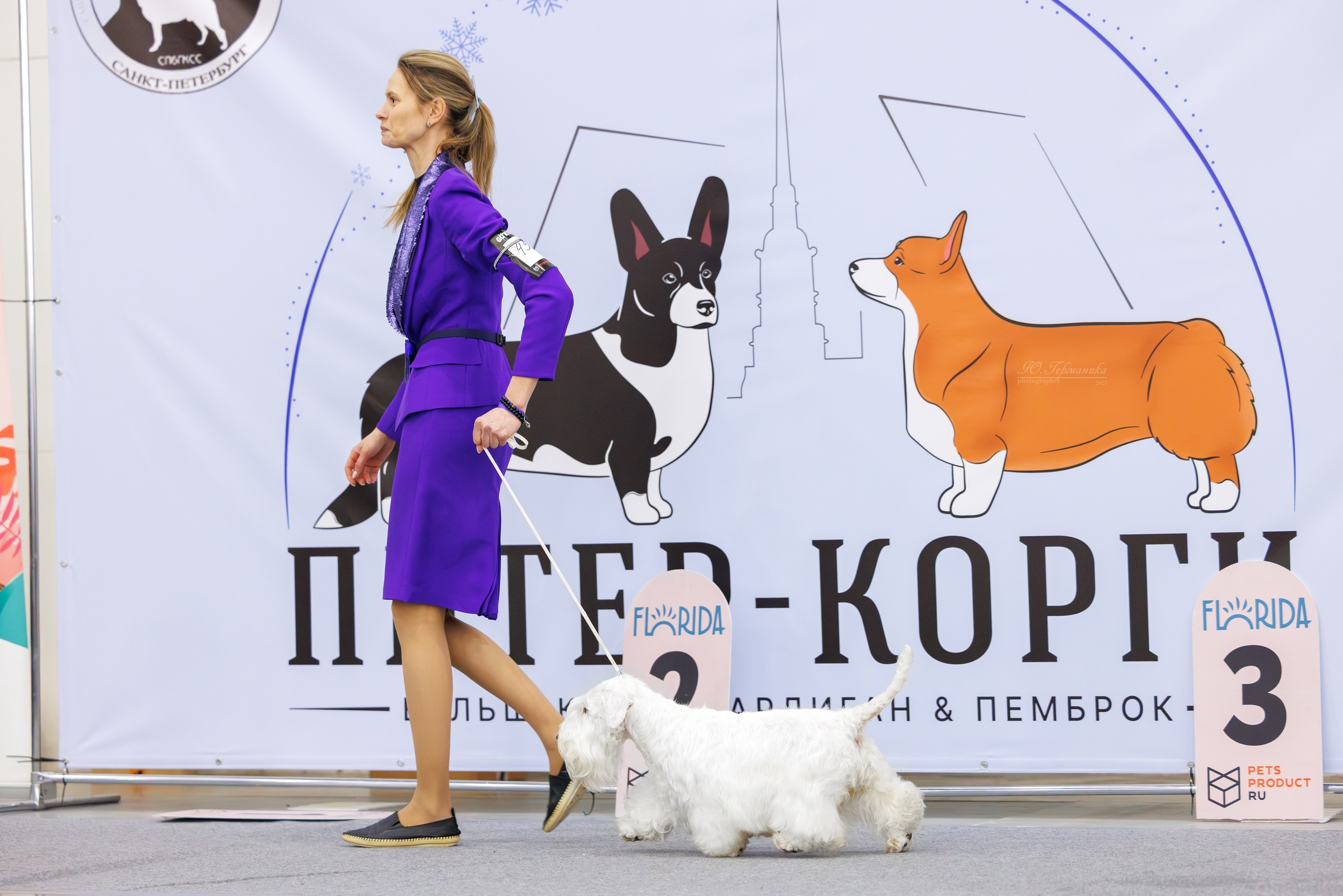 Питер 12-13.12.2025. Фотограф-анималист Юлия Германика