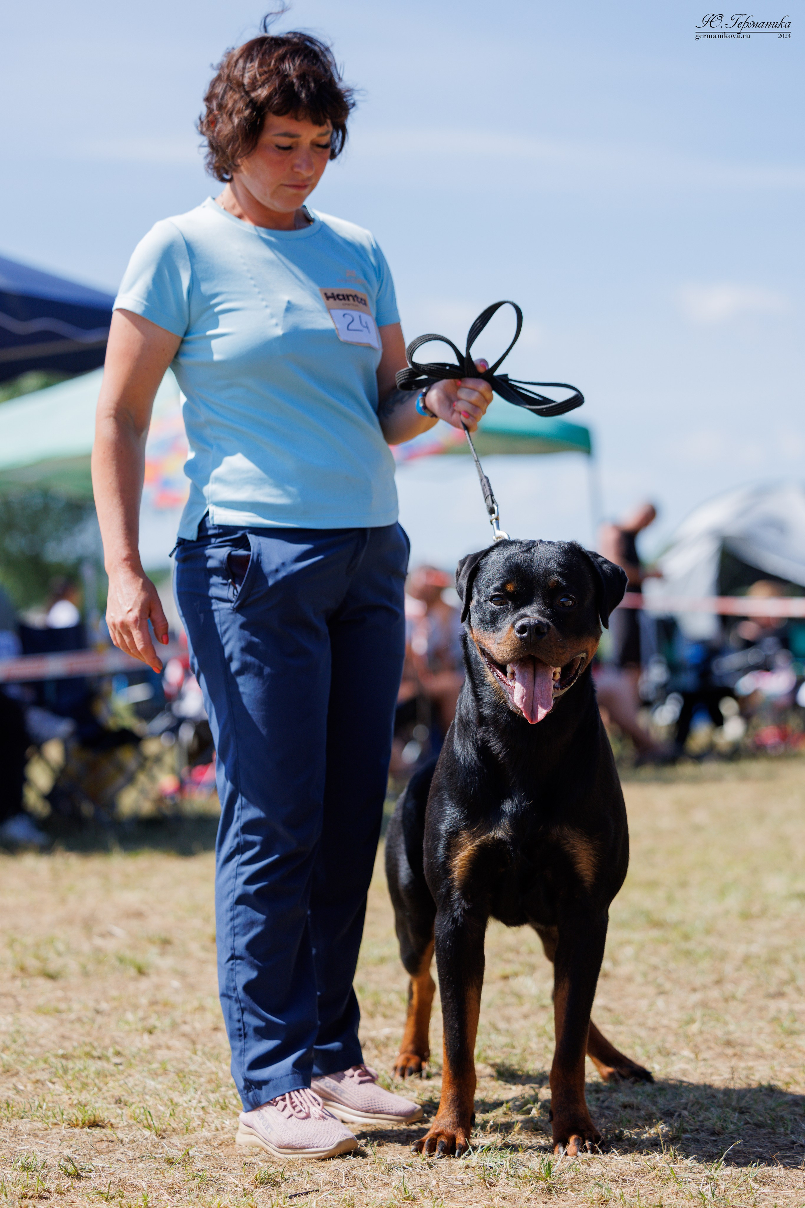 ПК и КЧК ротвейлеры Тверь 6-7.07.2024. Фотограф-анималист Юлия Германика