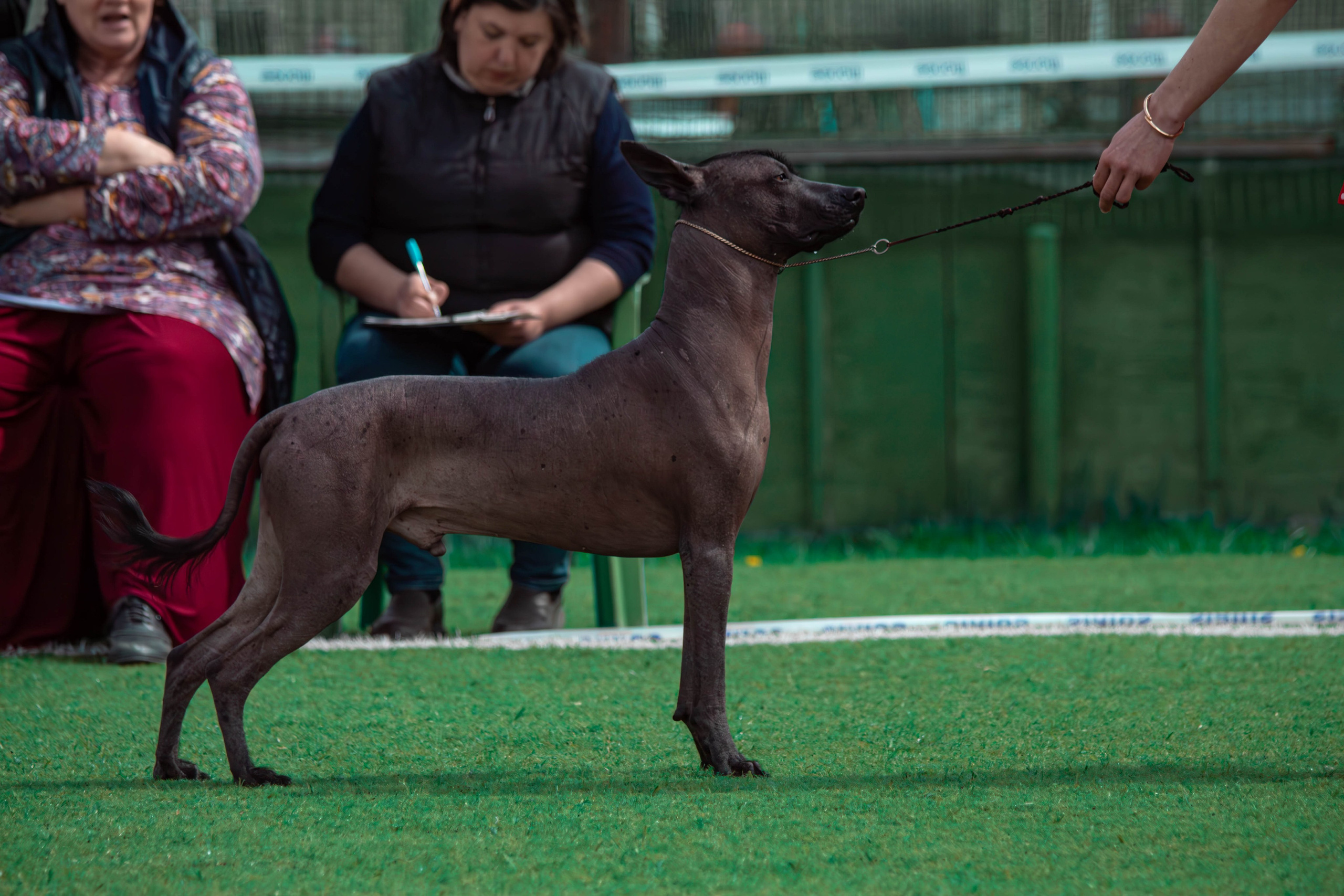 Выставка фотограф Тула 