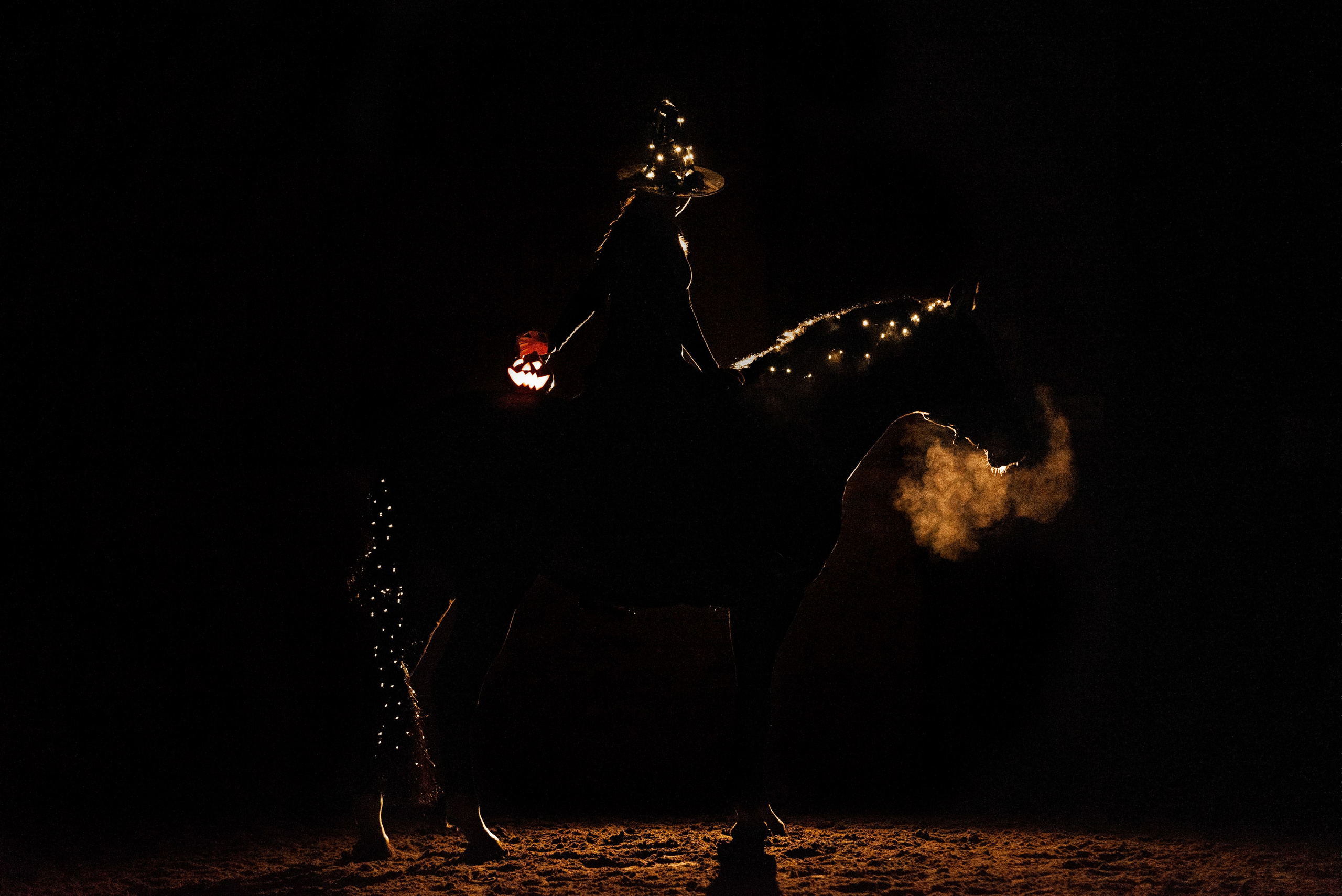 HORSIO Halloween. Конный фотограф Куракина Дарья • Фотосессии с лошадьми