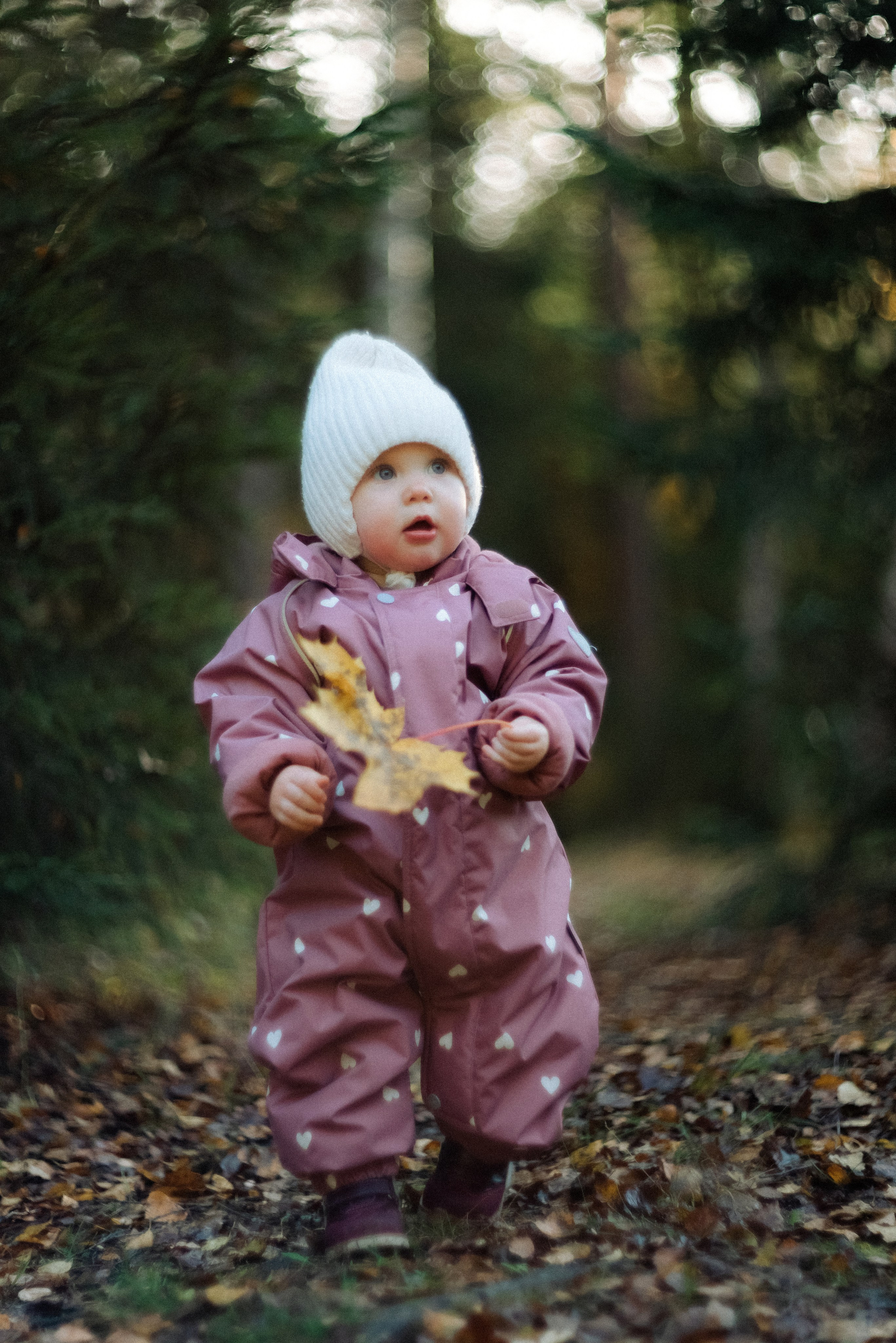 Alena | Mira | Kostya. Свадебный фотограф Санкт-Петербург DanyaPhotoart