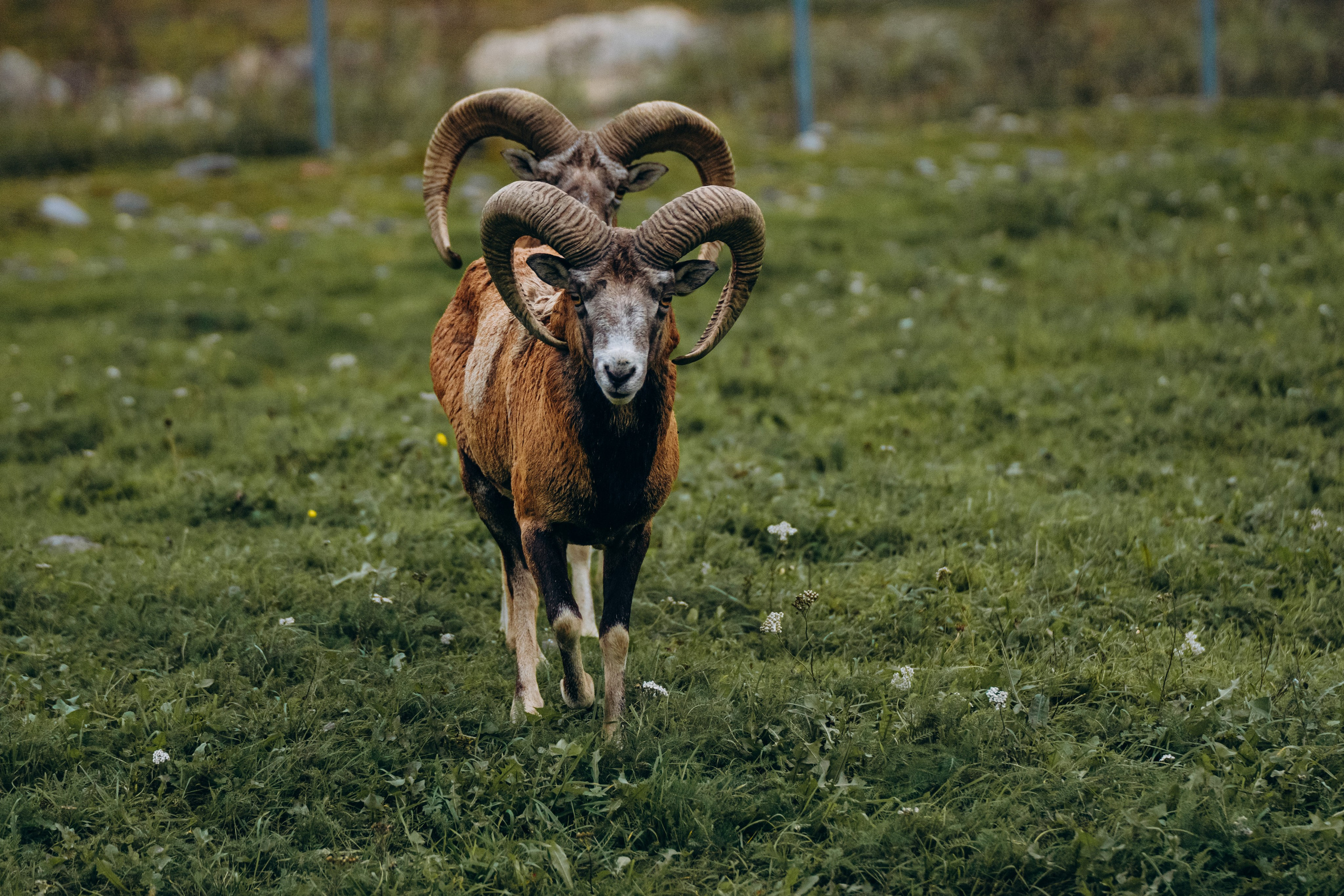 СЕВЕР. Event фотограф Степанова Александра