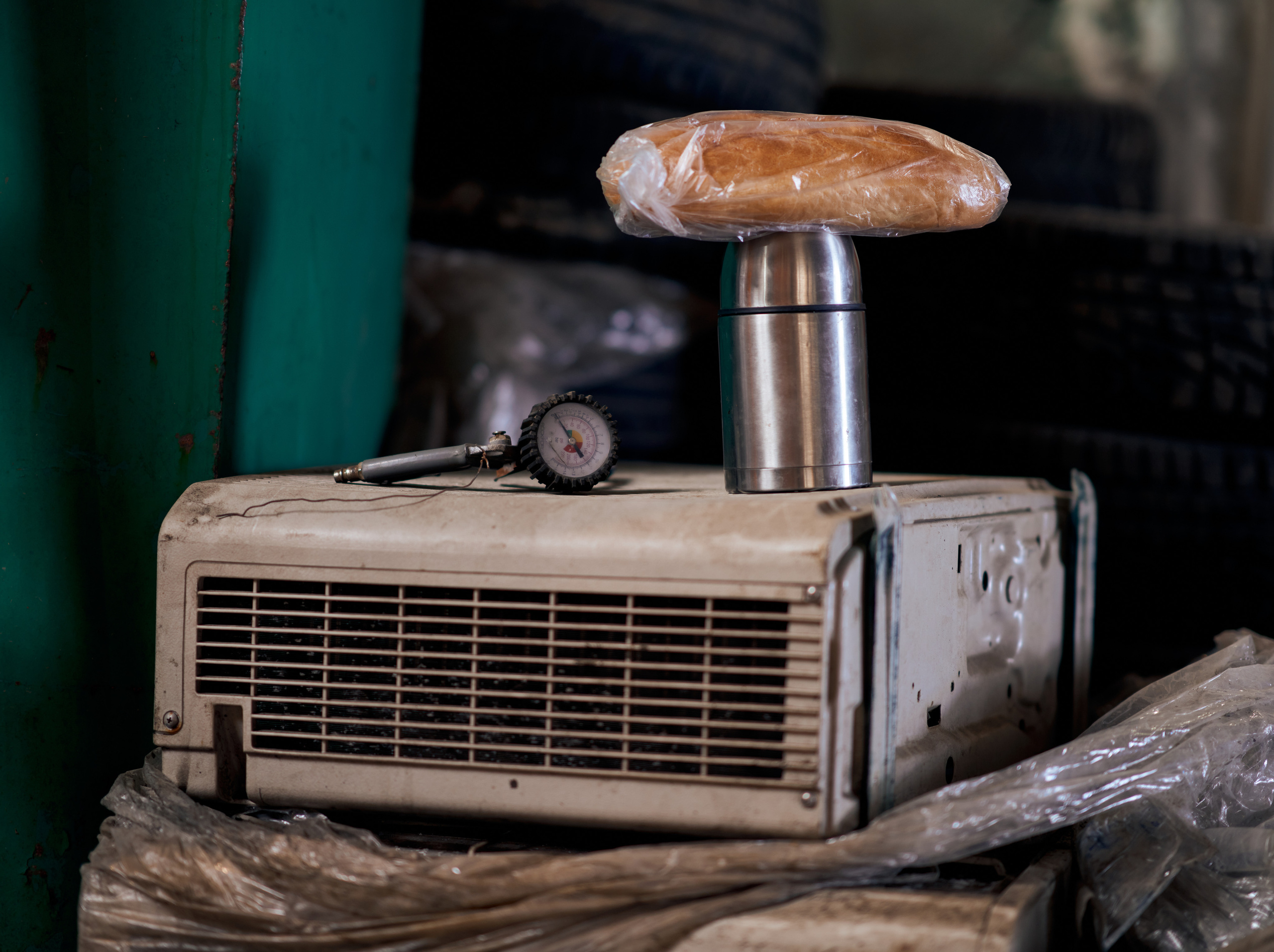 Сантрест. Photographer Roman Filippov