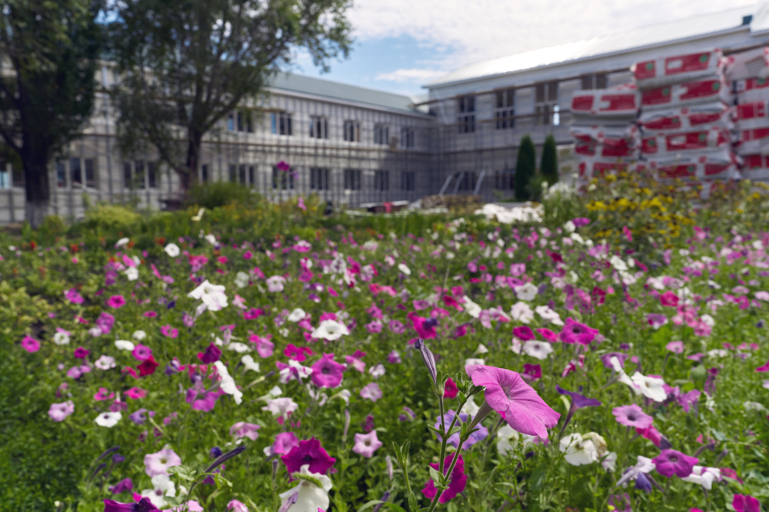 Башкирия-ЛНР. Photographer Roman Filippov