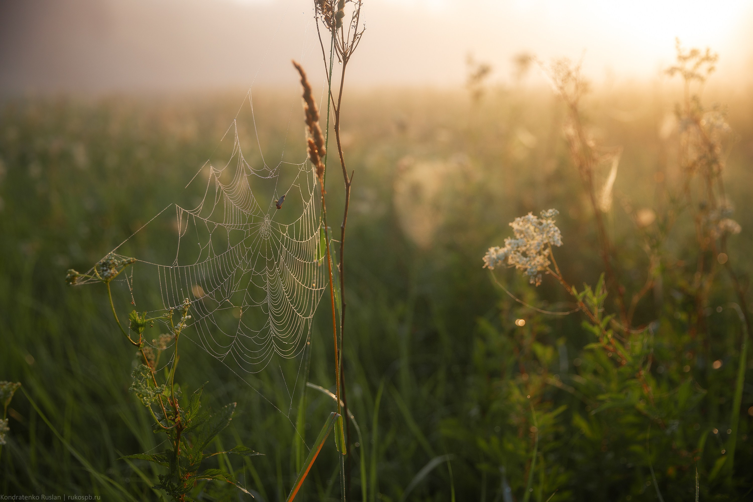 Ленинградская область. Архитектурный и пейзажный фотограф Кондратенко Руслан, Санкт-Петербург