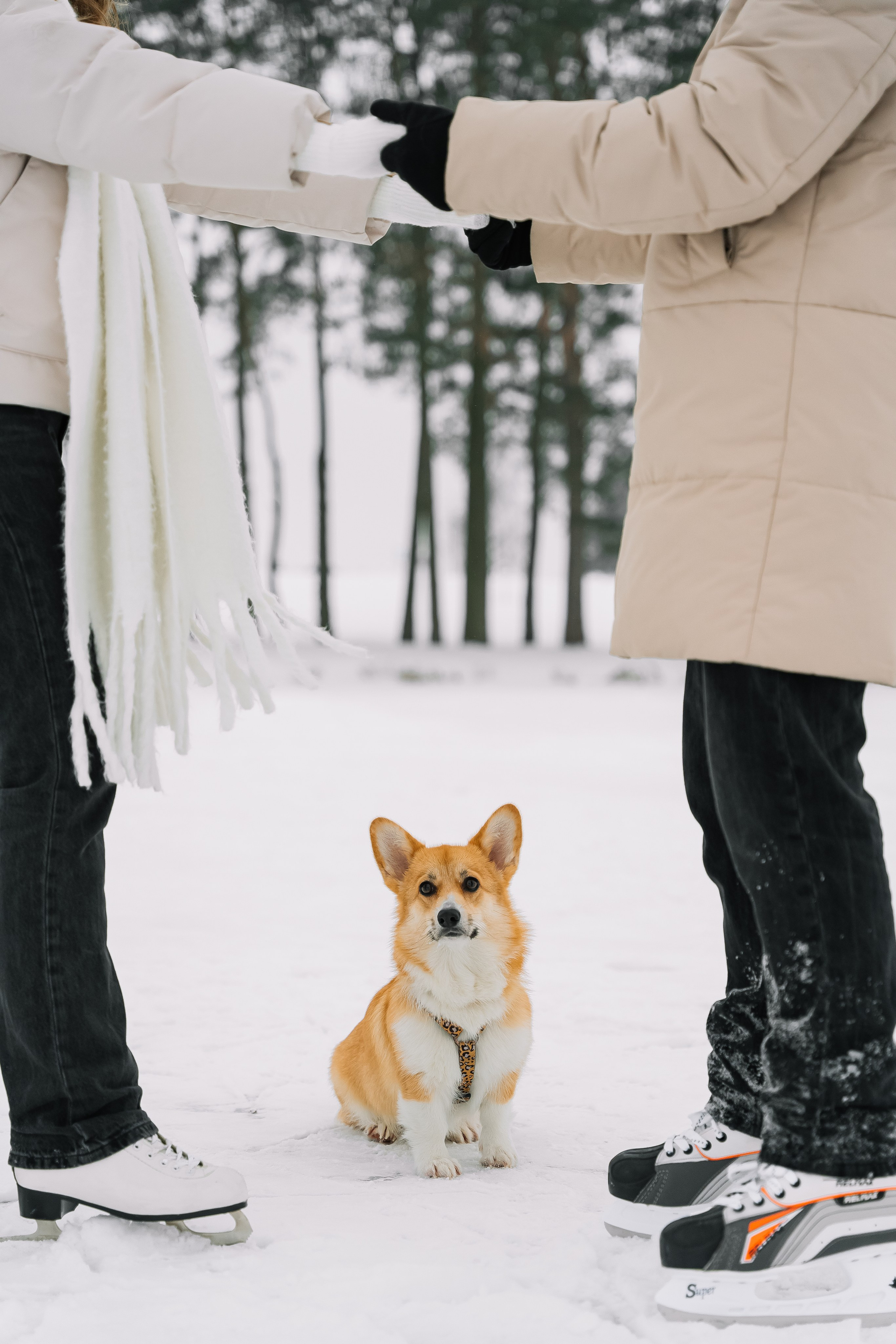 Зимние выходные. Свадебный Фотограф Минск || Фото и Видеосъёмка Минск || Другие города