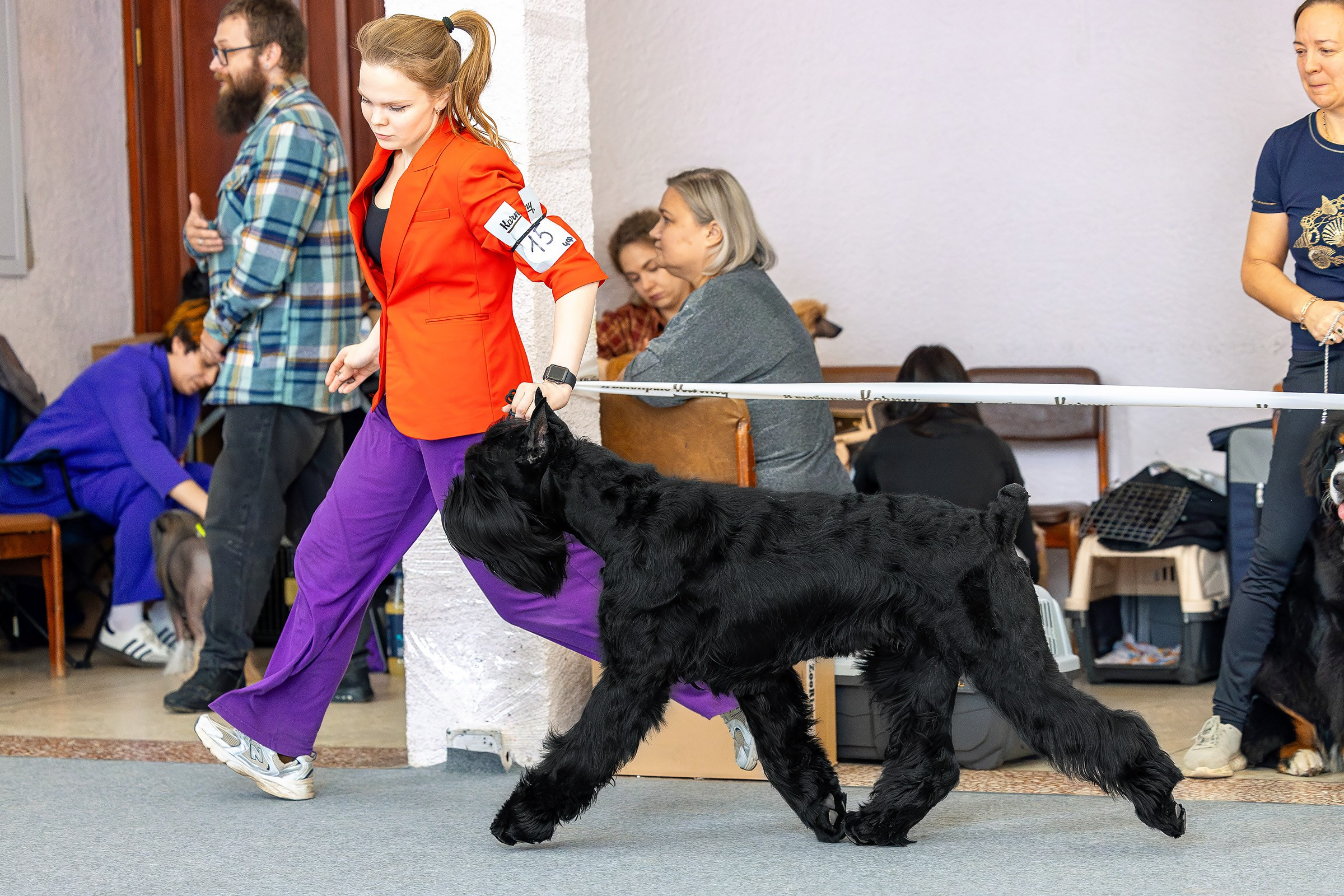 6 апреля 2025, Выставка РКФ, г. Пермь. Htykk_photo