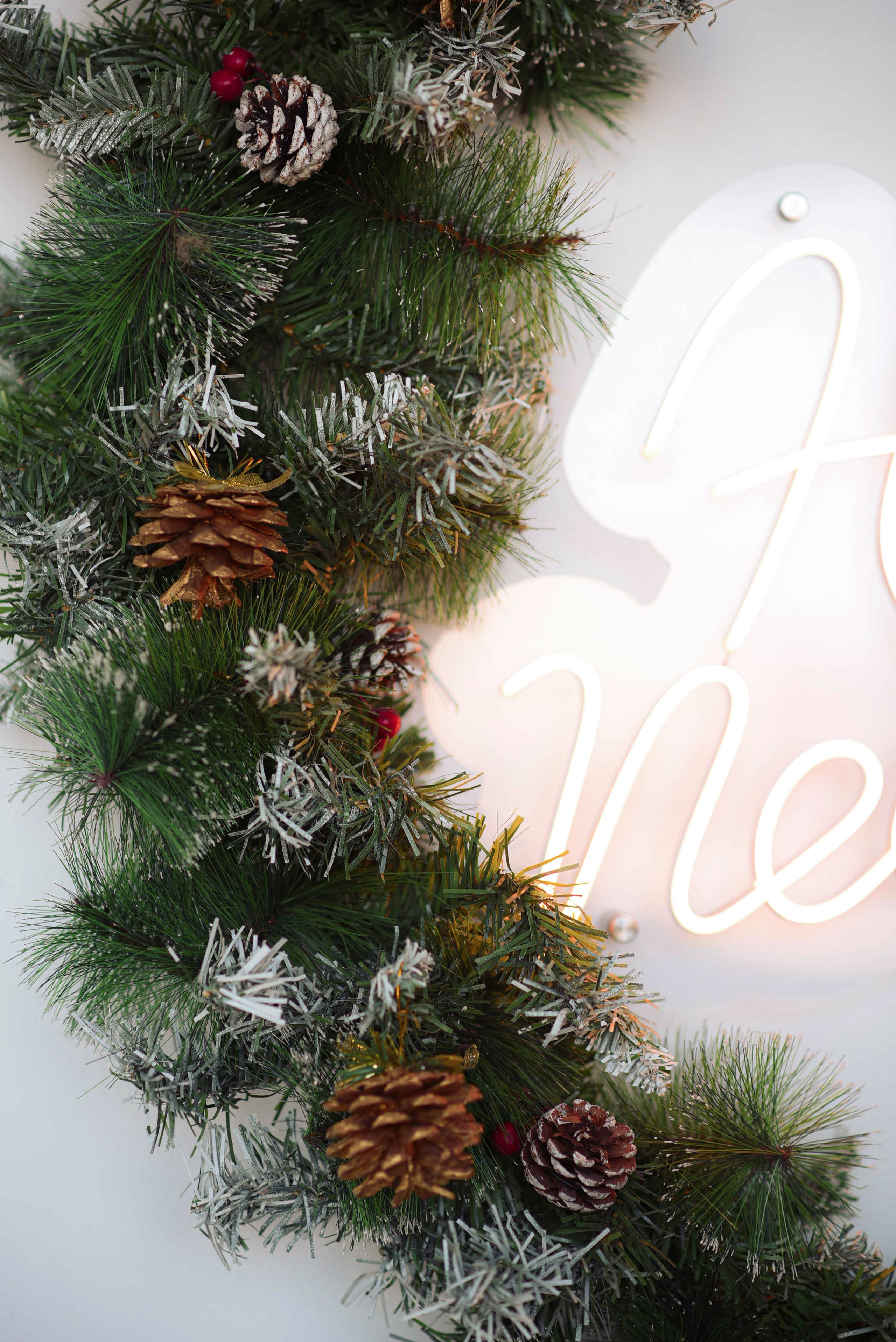 Зал LIGHT * NY 2026. Фотостудия Элис