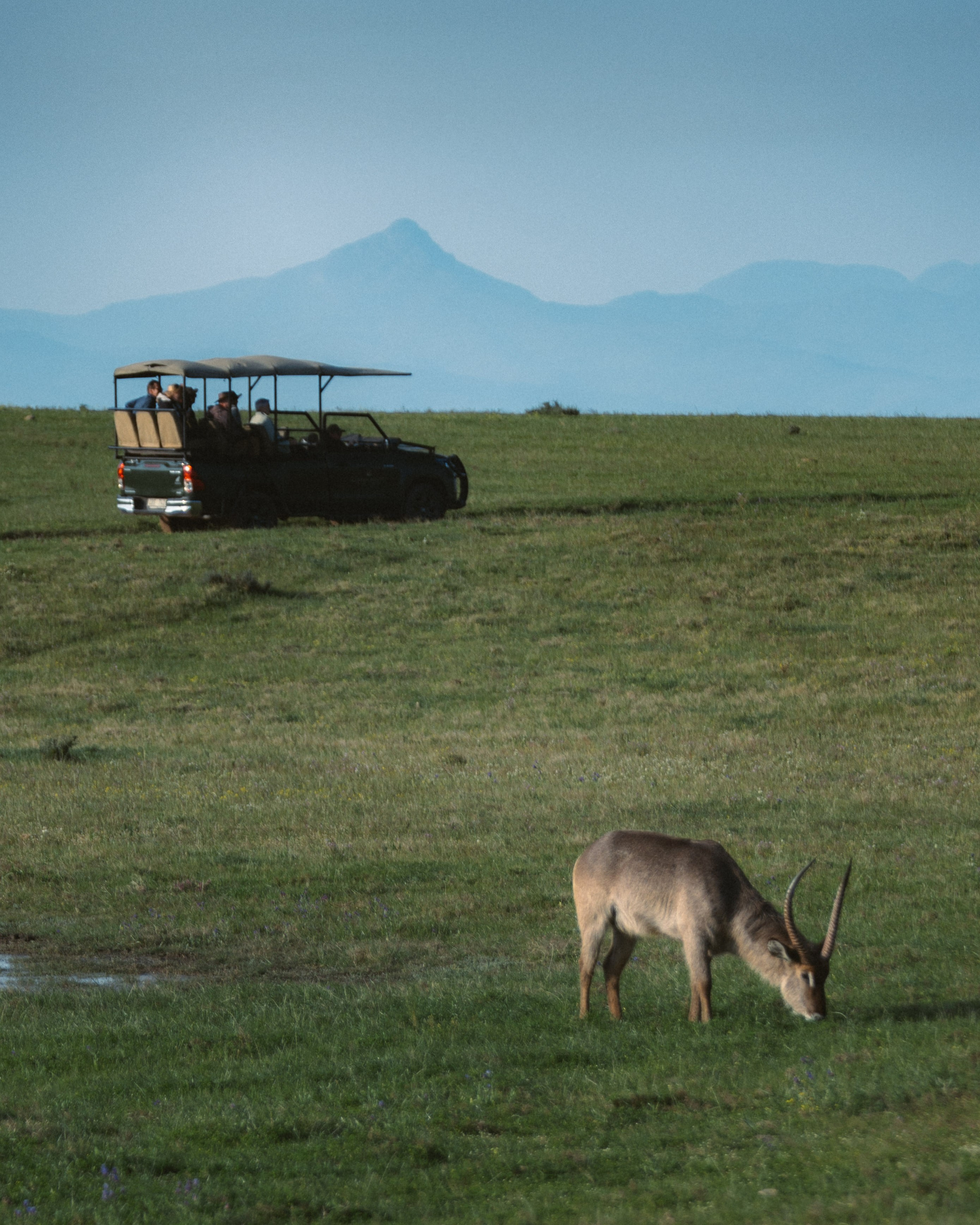 Africa/UAR. @oljiofilm: Олег Иванов — фотограф