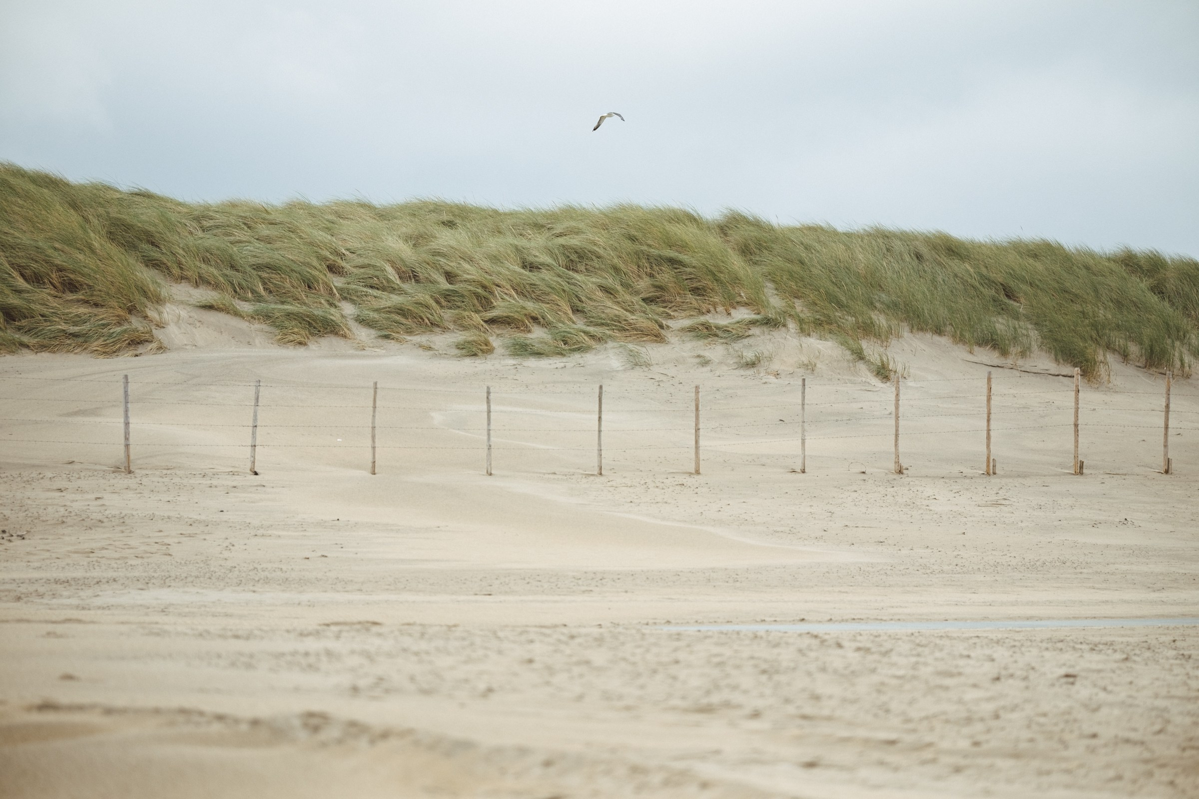 На берегу. Свадебные и семейные фотографы в Москве Максим и Оксана Первомай
