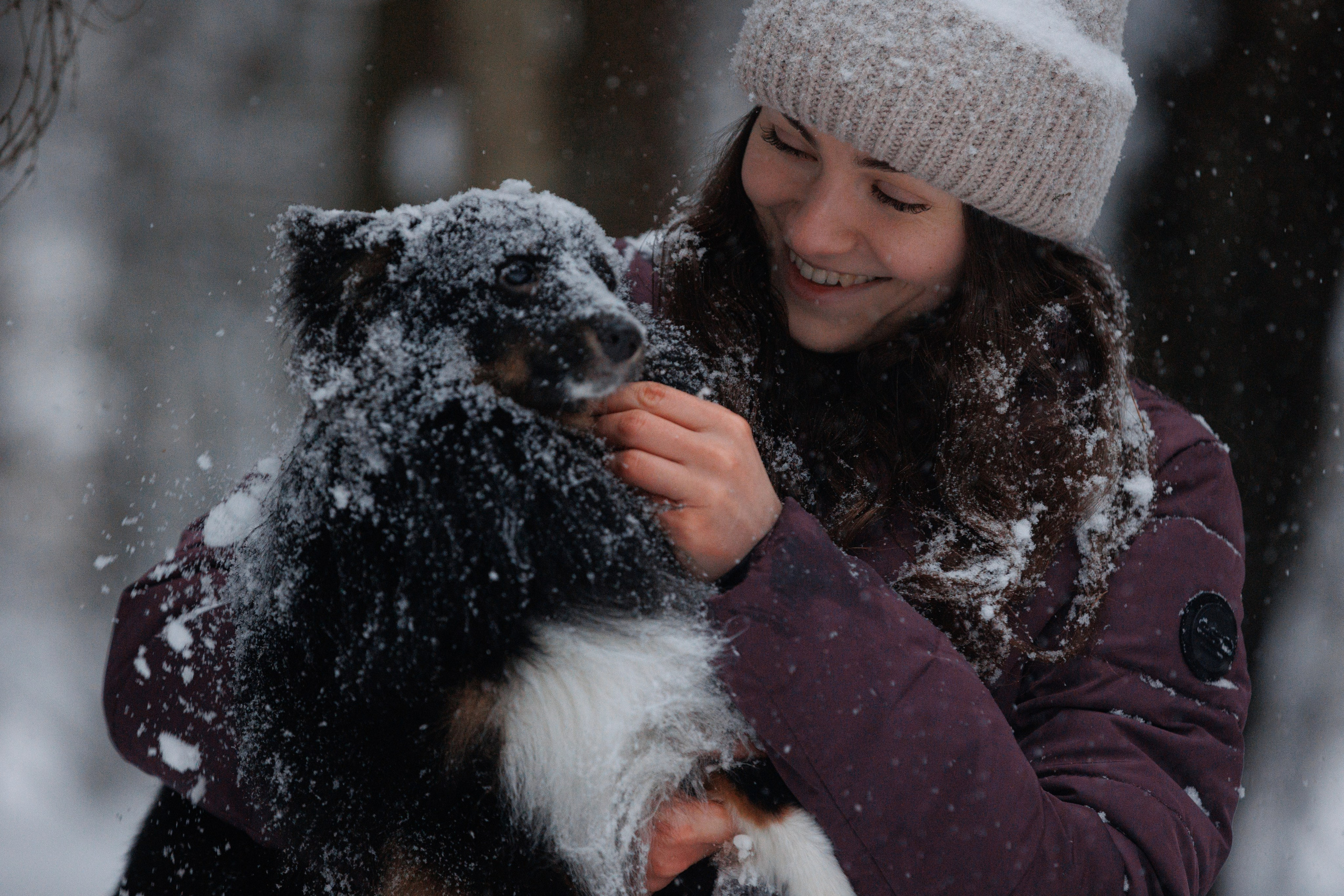 Даша и компания. Фотограф анималист Кристина Карпова, Москва