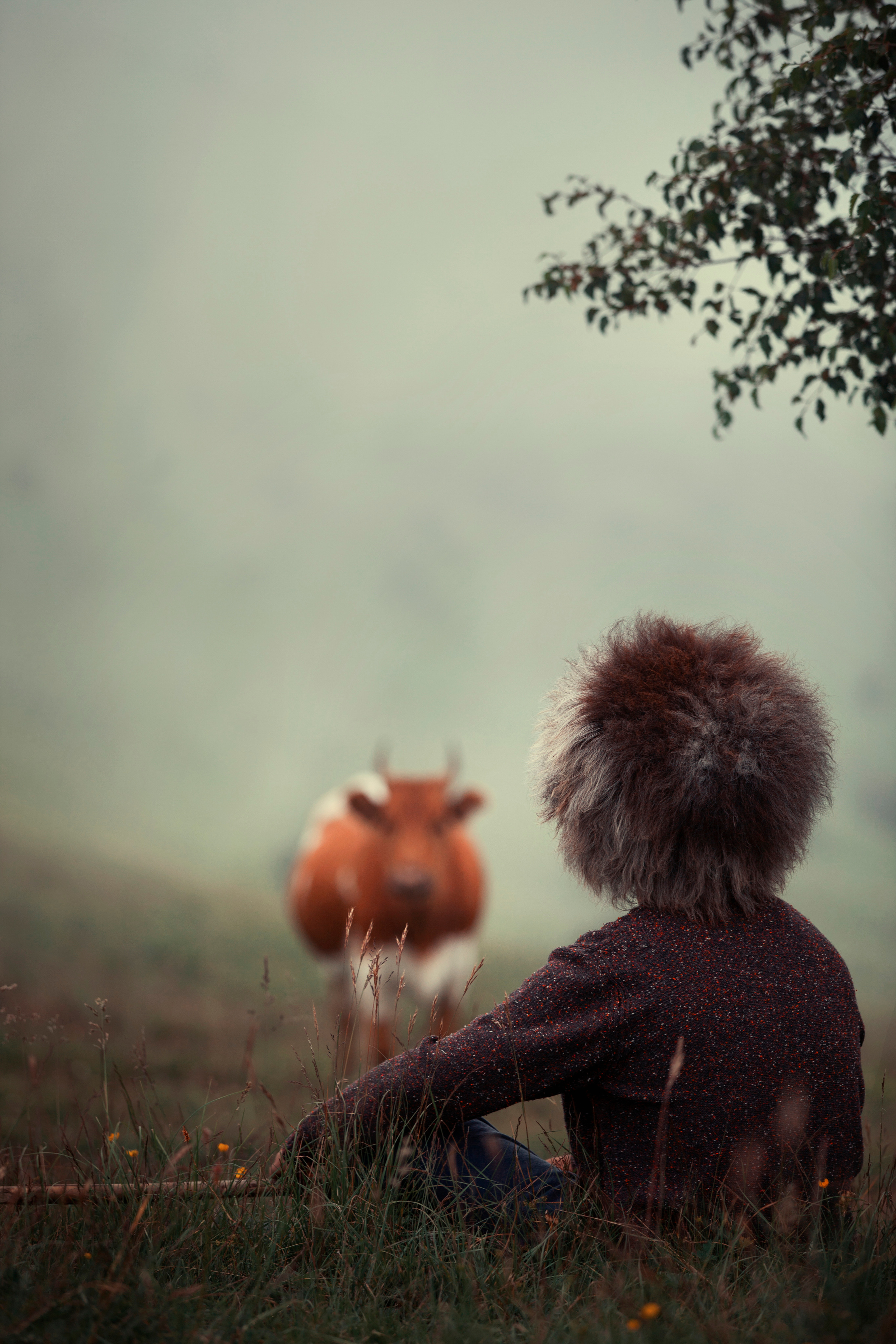 Семейная съёмка. Фотограф и видеограф в Москве Оля Штукерт