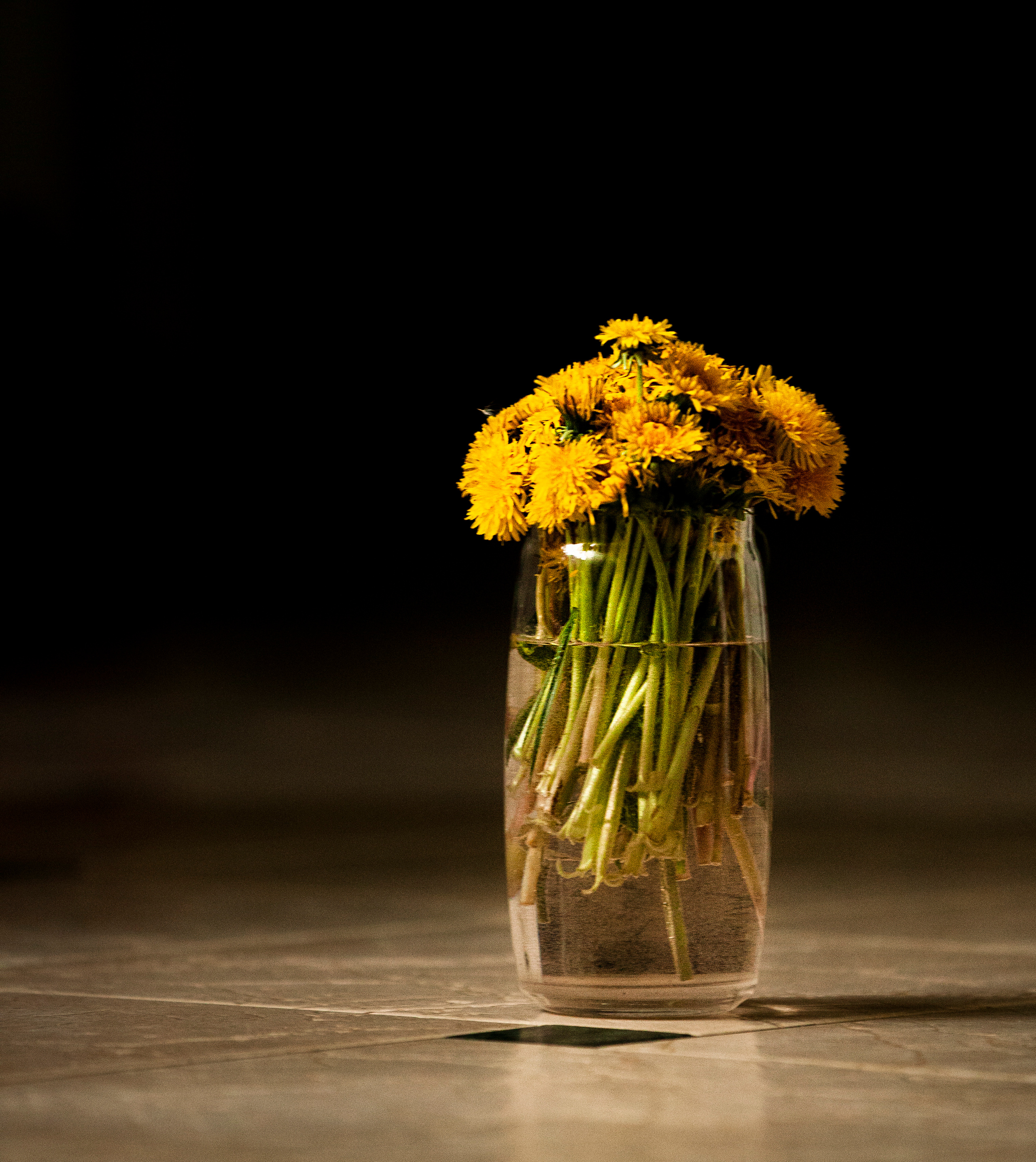 Семейная съёмка. Фотограф и видеограф в Москве Оля Штукерт