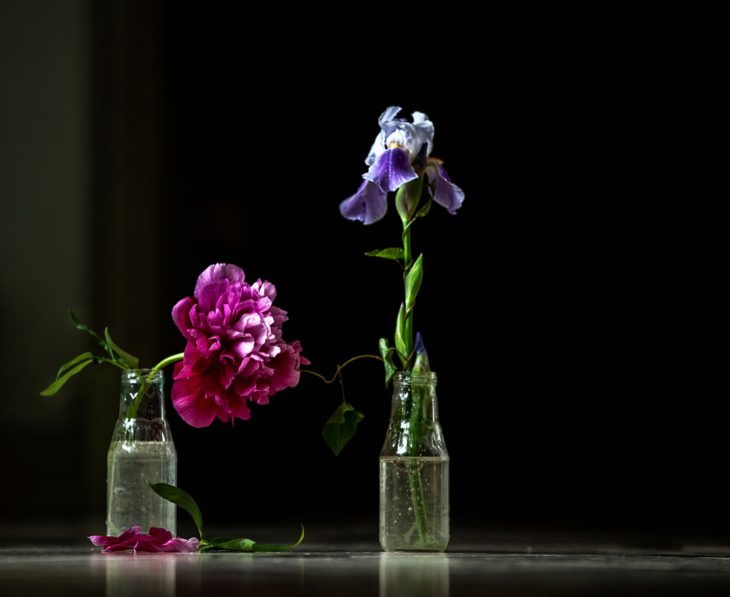 Семейная съёмка. Фотограф и видеограф в Москве Оля Штукерт
