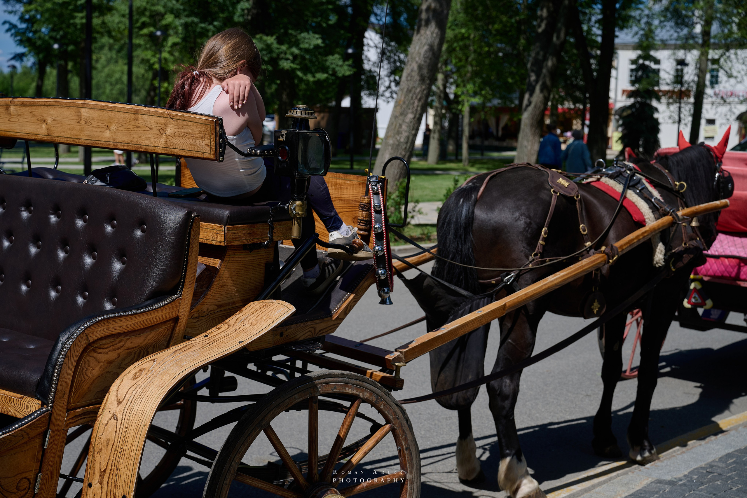 Суздаль. Июнь 2025. Фотограф Роман Адлер
