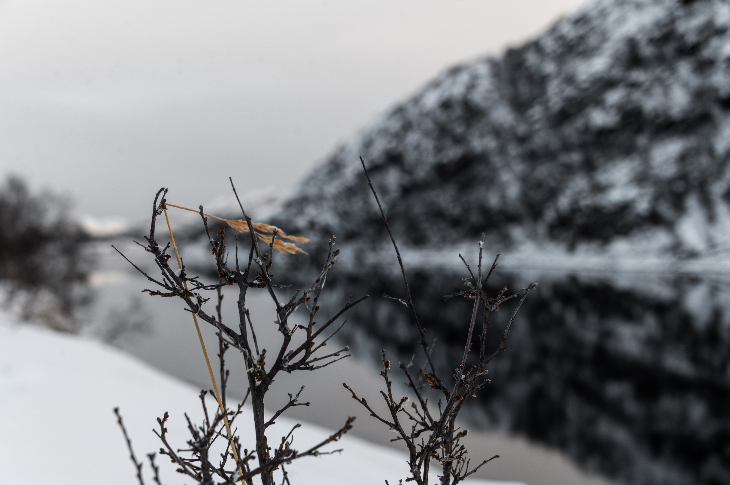 Териберка. Ноябрь 2023. Фотограф Роман Адлер