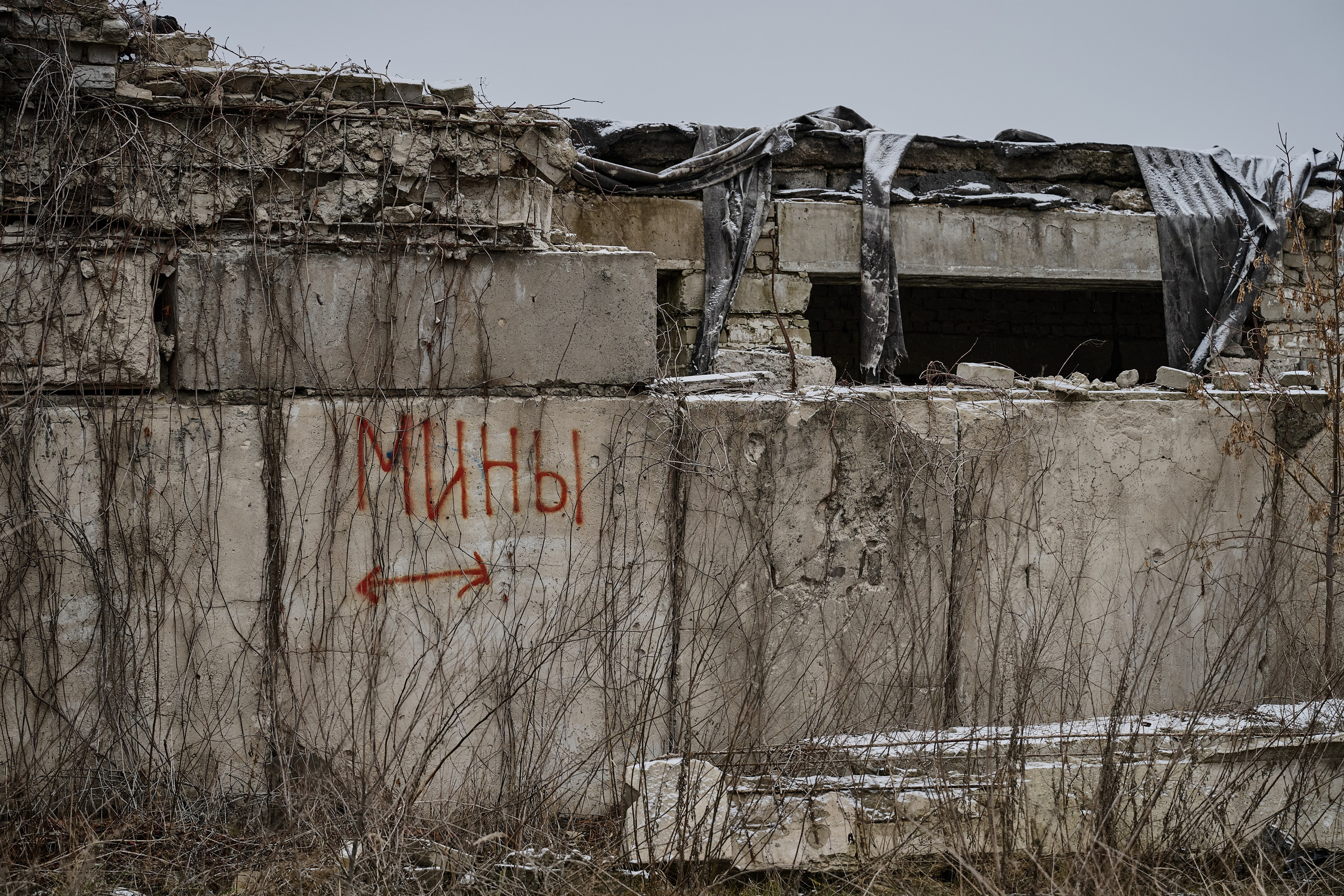 Северодонецк (Луганская область). Декабрь 2024. Фотограф Роман Адлер